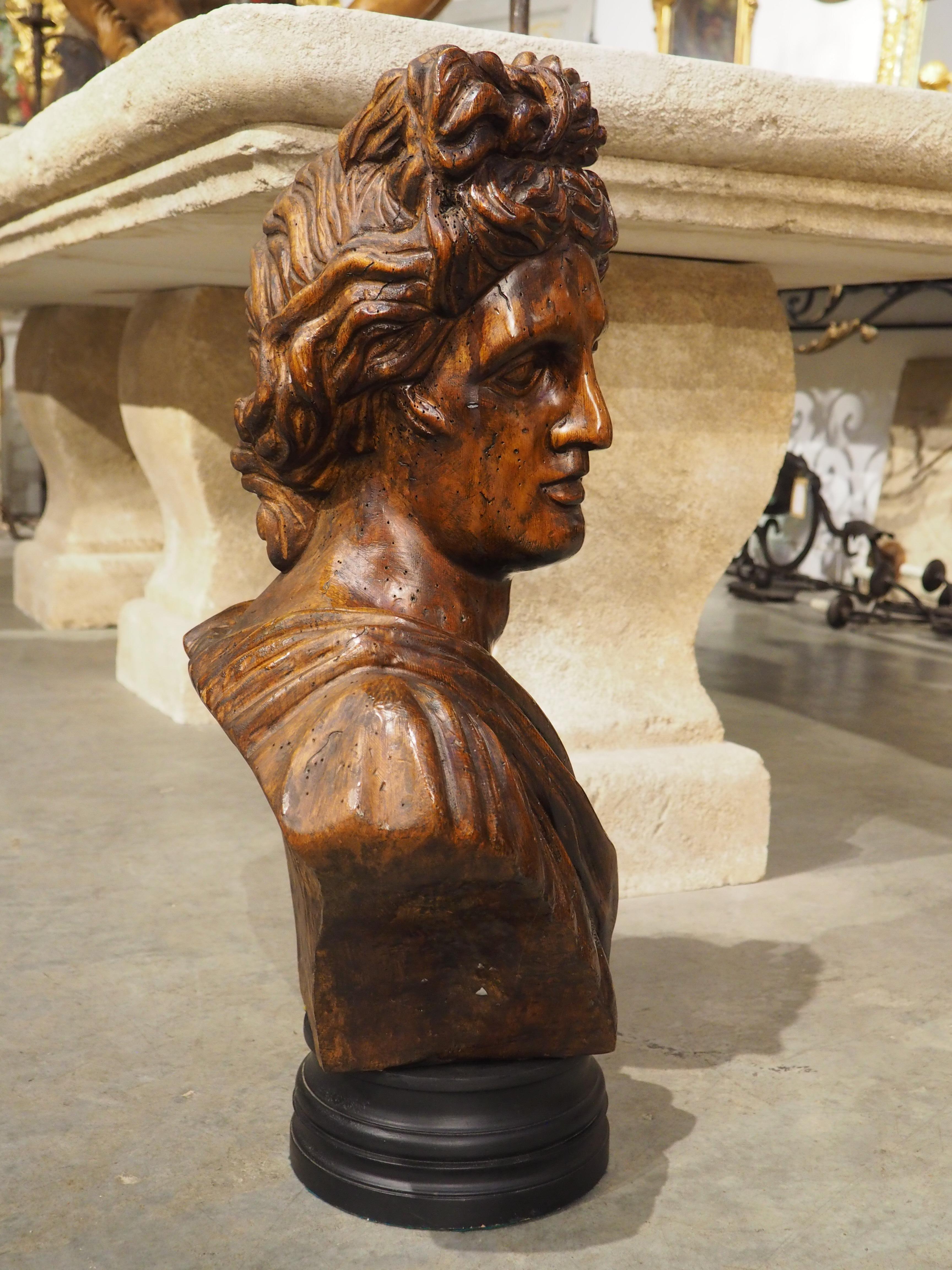 Buste italien ancien en bois d'Apollo Belvedere, 19e siècle en vente 10