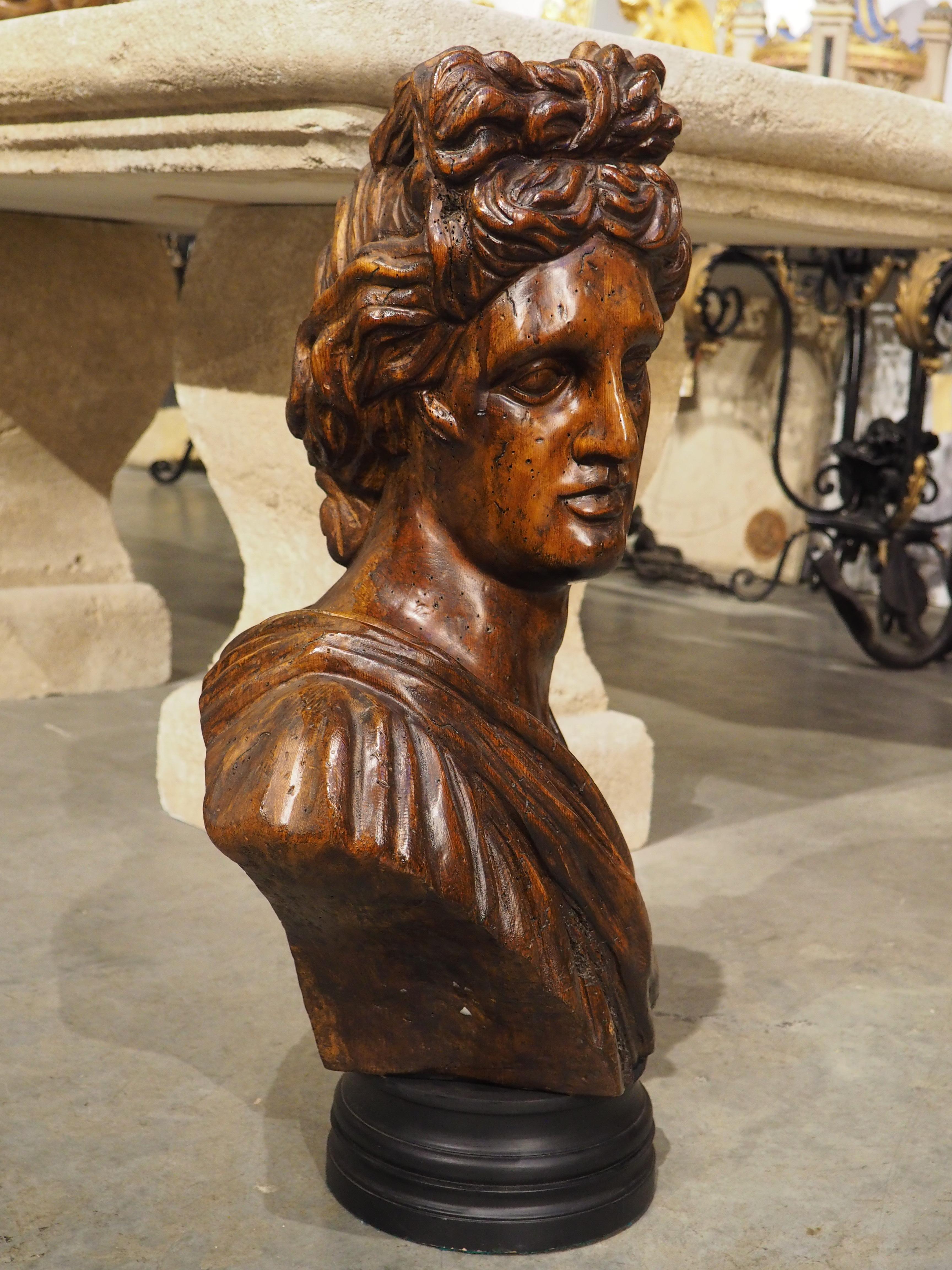 Buste italien ancien en bois d'Apollo Belvedere, 19e siècle en vente 11