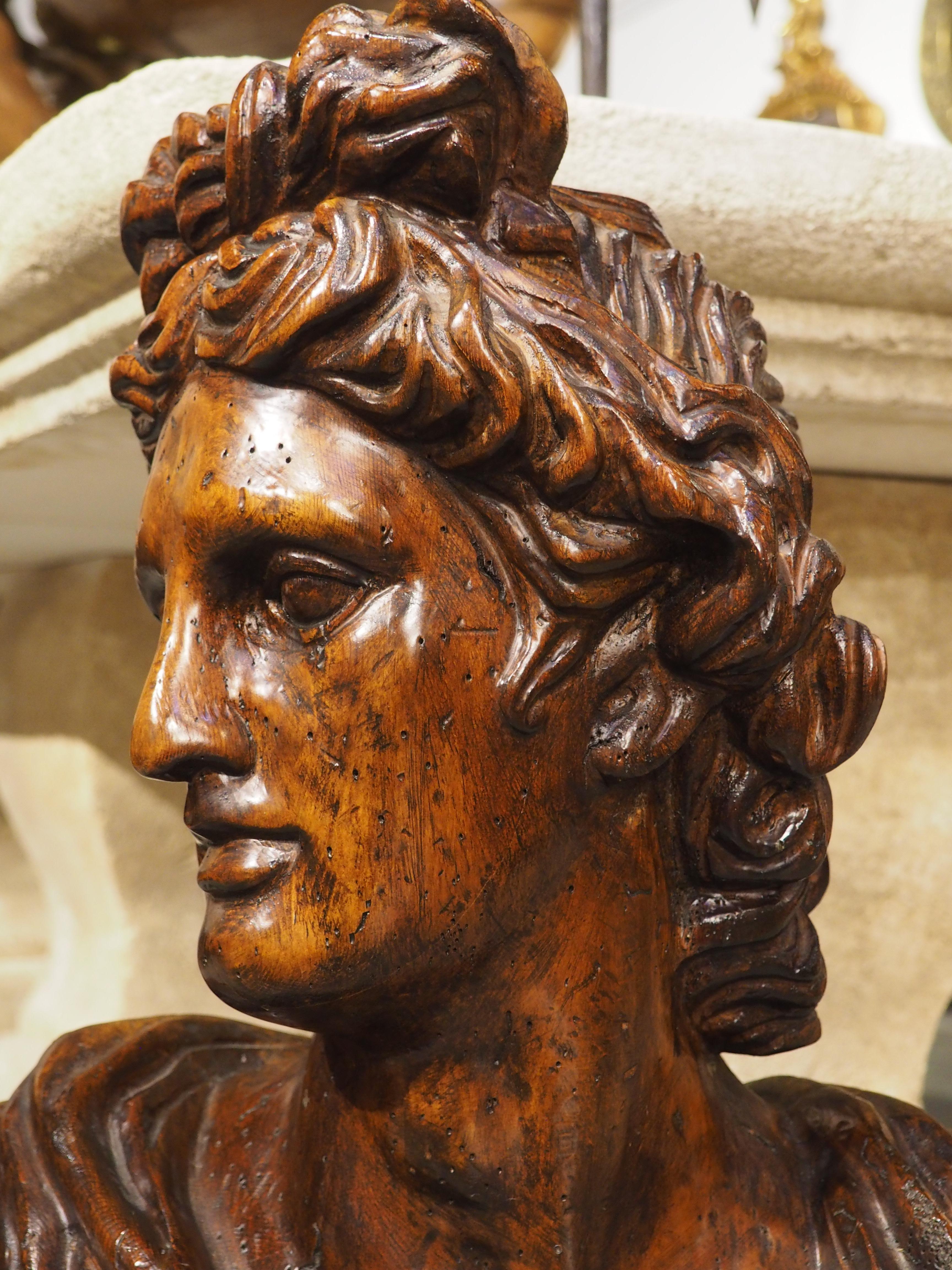 Hand-Carved Antique Italian Wooden Bust of Apollo Belvedere, 19th Century For Sale