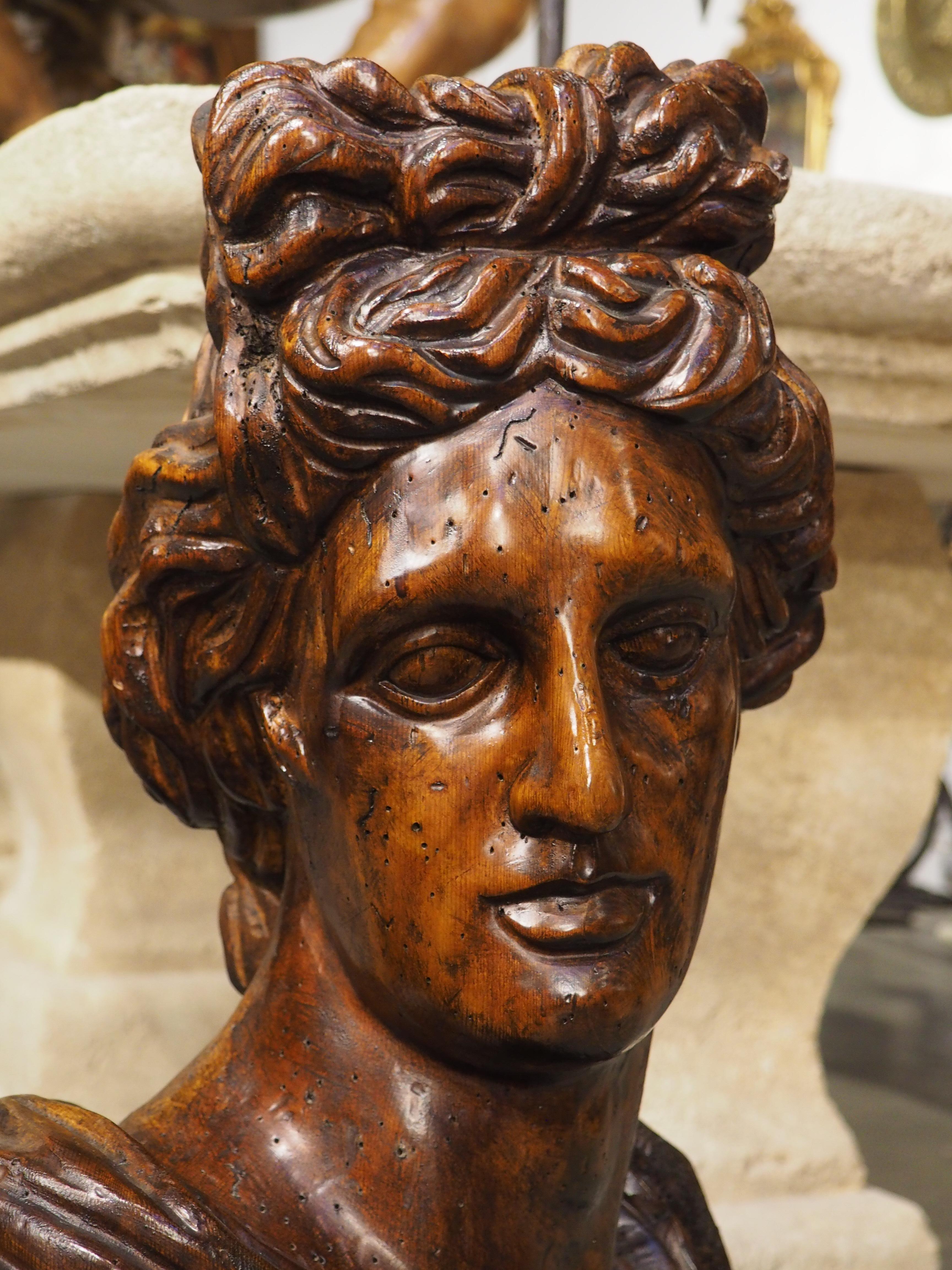 Legno Antico busto italiano in legno di Apollo Belvedere, XIX secolo in vendita
