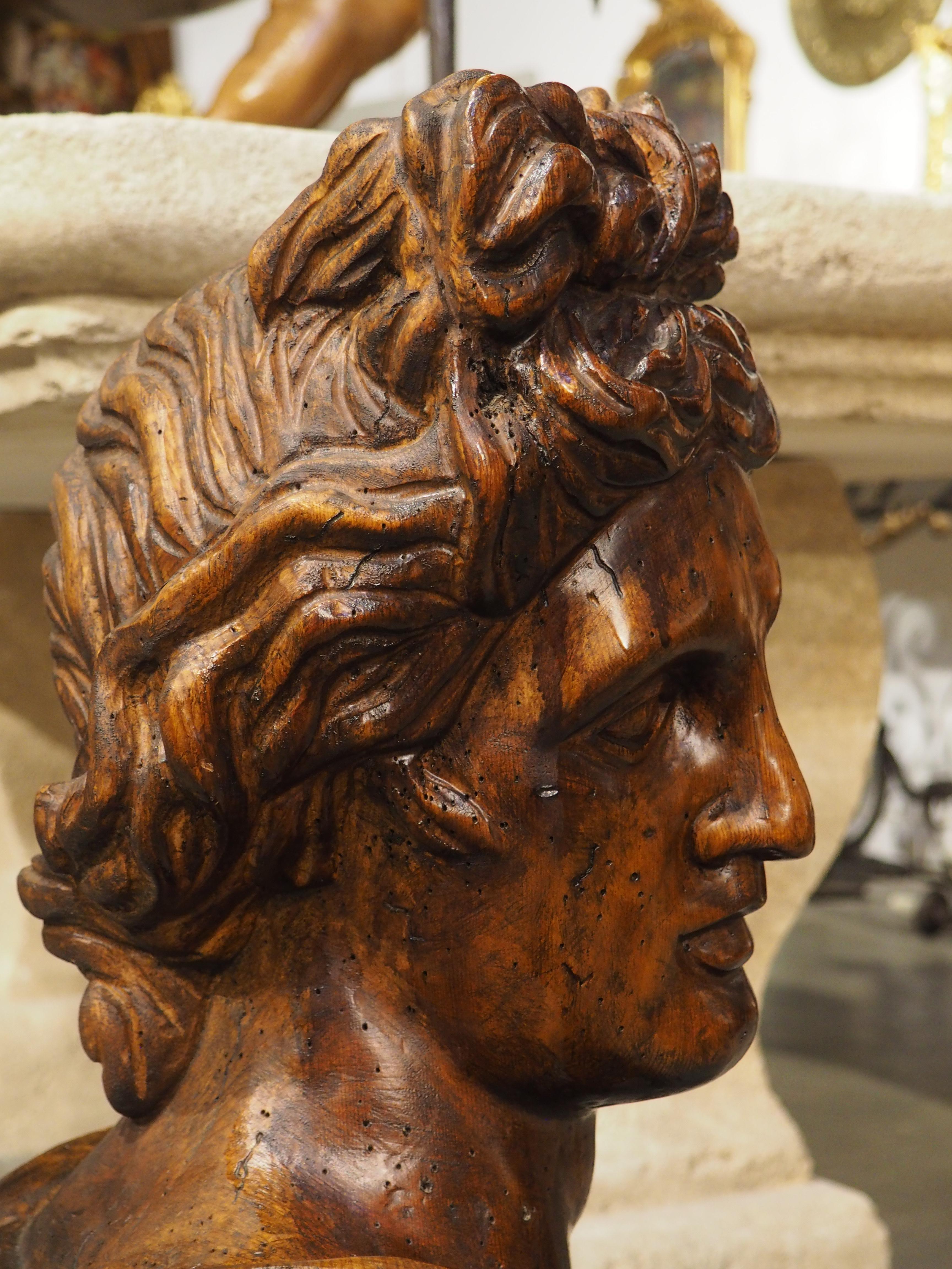 Buste italien ancien en bois d'Apollo Belvedere, 19e siècle en vente 2