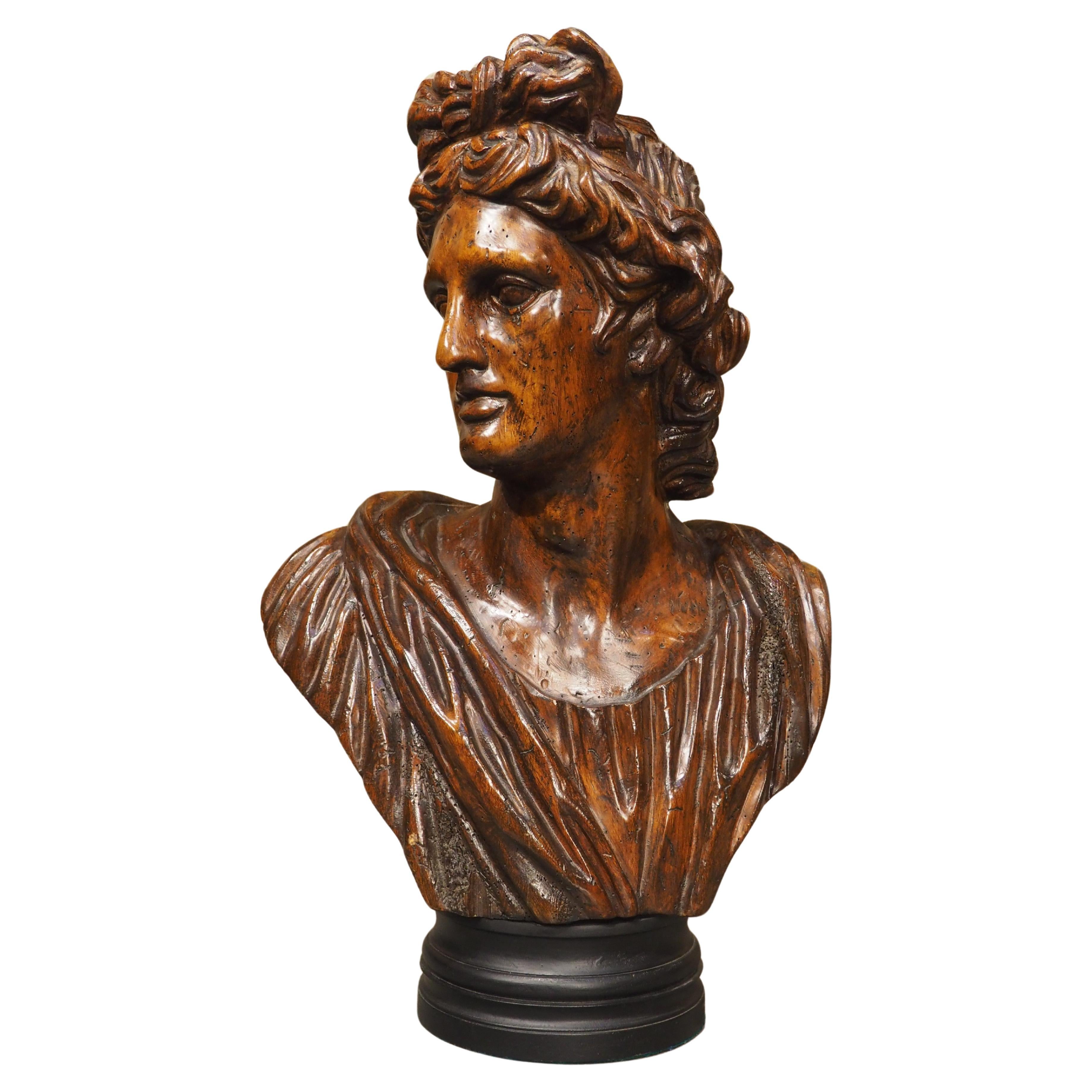 Buste italien ancien en bois d'Apollo Belvedere, 19e siècle