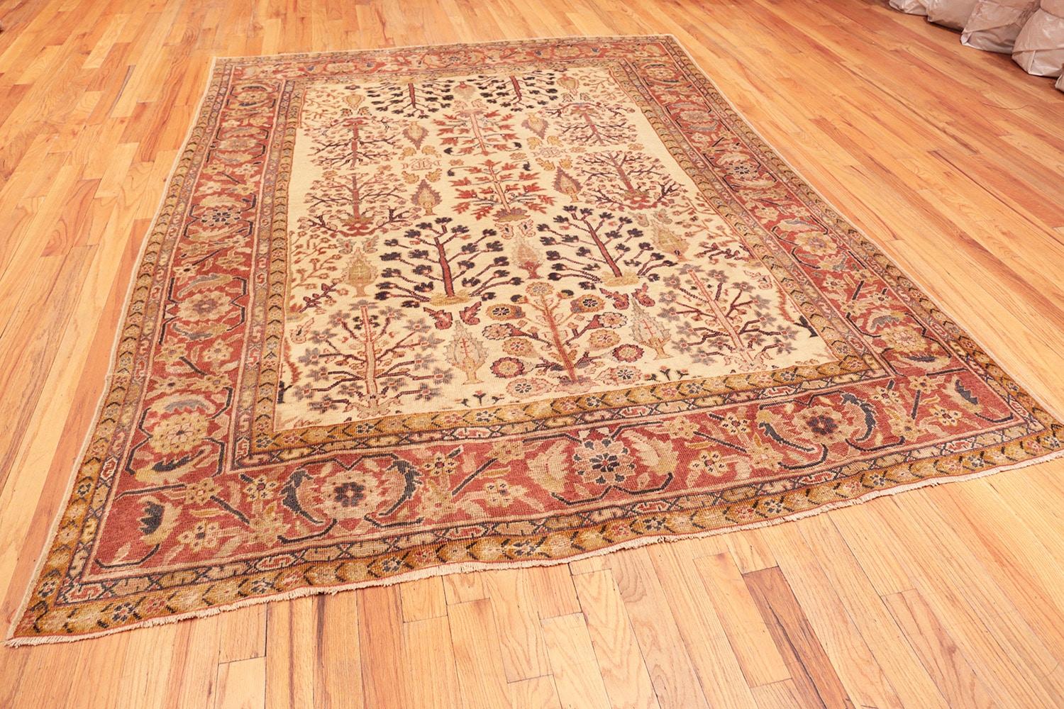 Wool Antique Ivory Persian Sultanabad Rug. 7 ft 9 in x 10 ft  For Sale