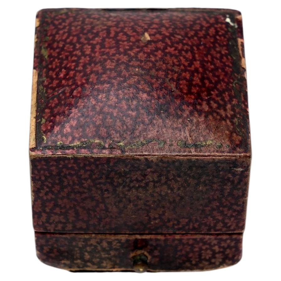Antike Ringbox von J. A. Johnston aus Ulverston im Angebot