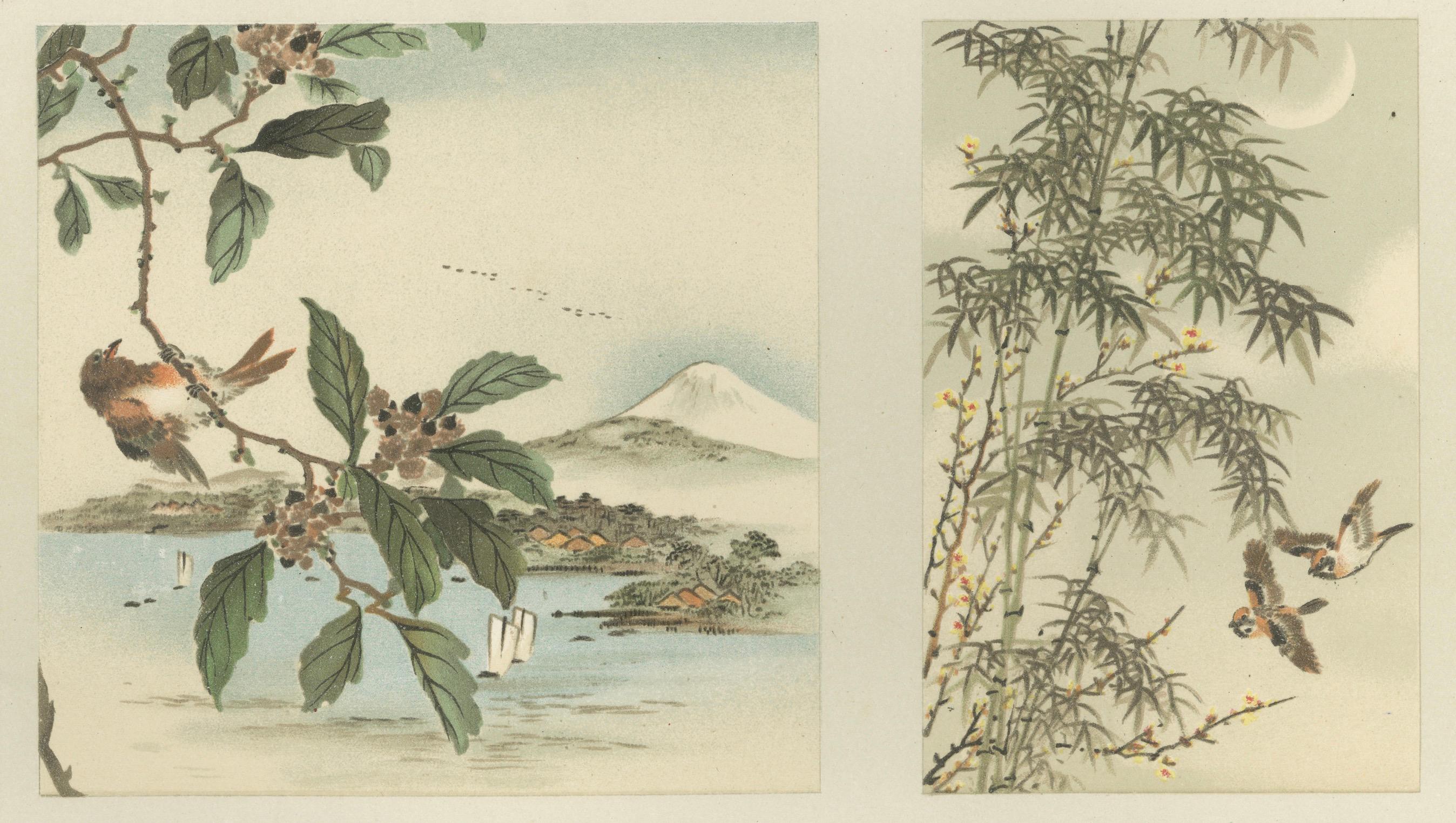 Antiker japanischer Vogel- und Landschaftsdruck: Sechs Tafeln der Harmonie der Natur, 1882 (Papier) im Angebot