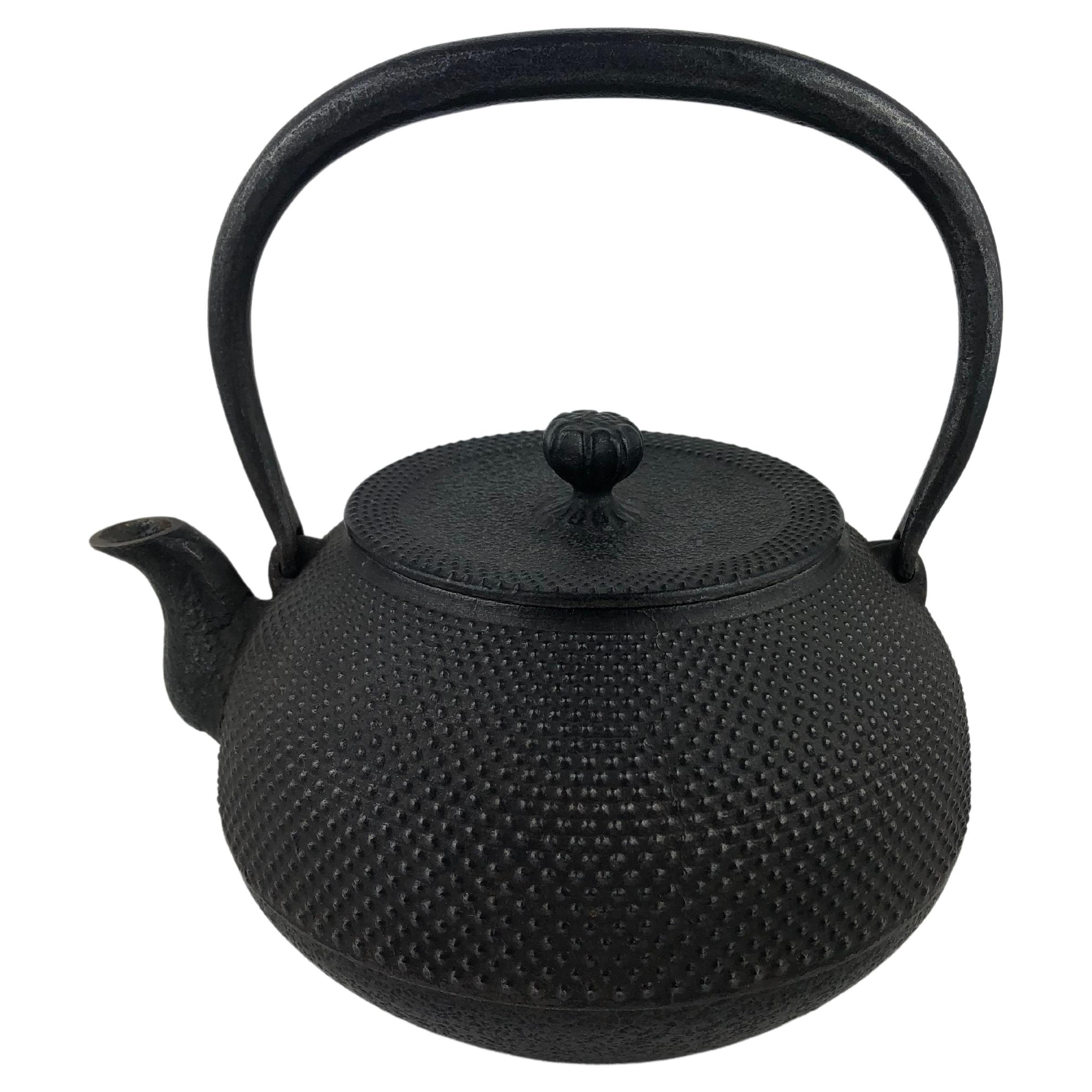 Antique Japanese Cast Iron Tea Pot or Tetsubin