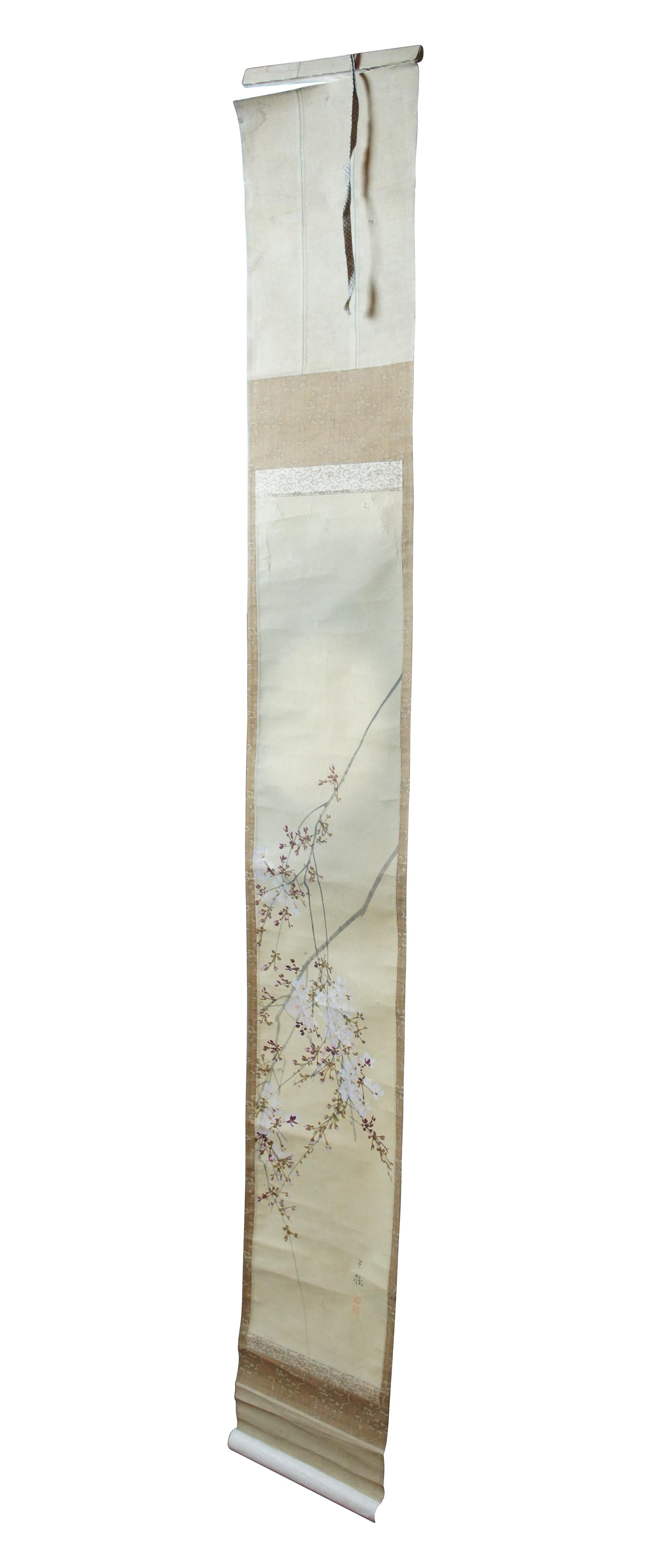 Early 20th century Japanese watercolor painting on silk, wall hanging scroll, showing branches of cherry blossoms. Signed lower right.

Dimensions:
9.25