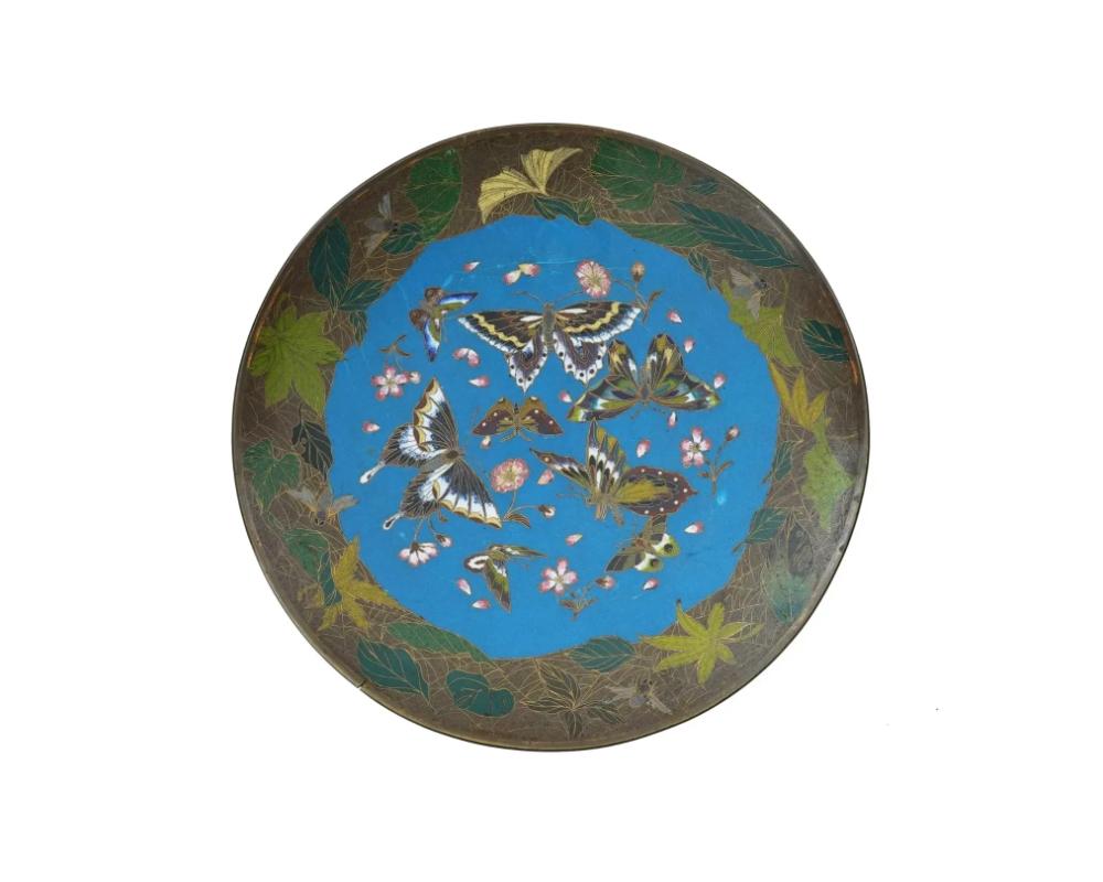 An antique Japanese late Meiji era decorative enamel over copper plate or charger. The interior of the plate is adorned with a polychrome design of butterflies surrounded by sakura flowers on the turquoise ground made in the Cloisonne technique. The