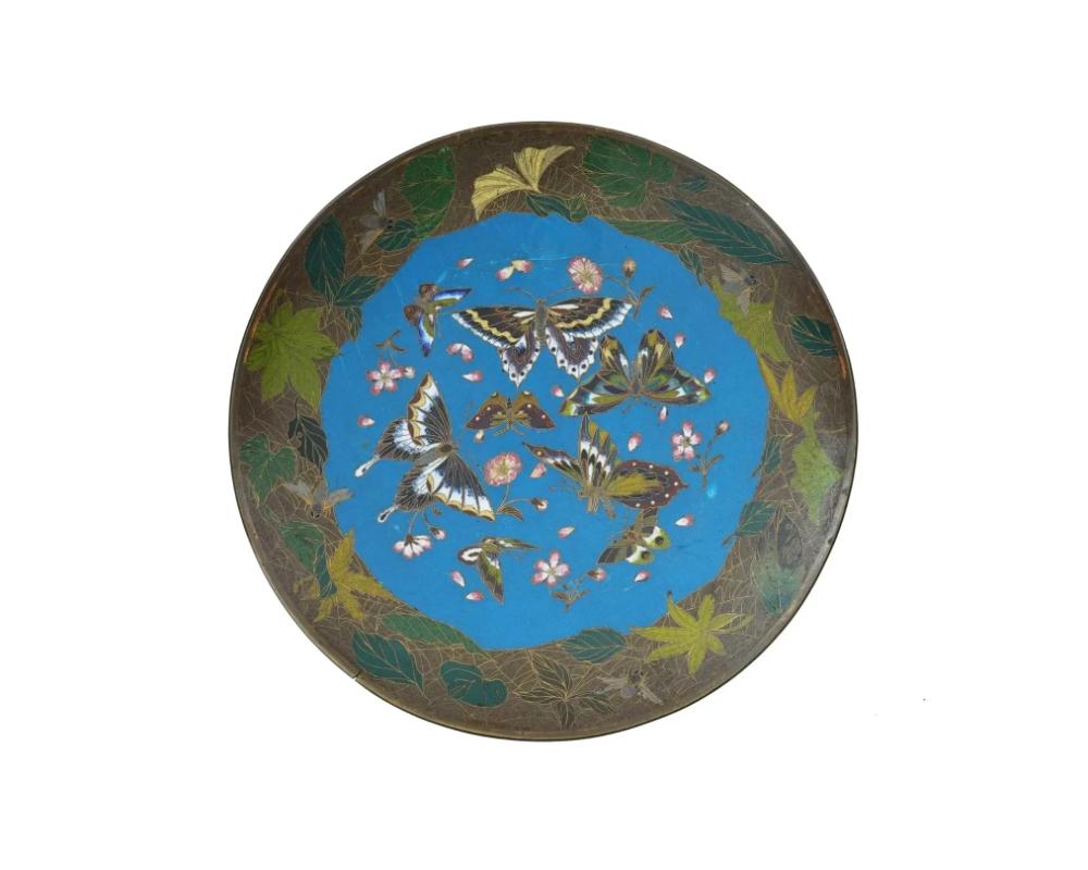 Antiguo plato o cargador decorativo japonés de finales de la era Meiji, esmaltado sobre cobre. El interior del plato está adornado con un diseño policromado de mariposas rodeadas de flores de sakura sobre fondo turquesa realizado en la técnica
