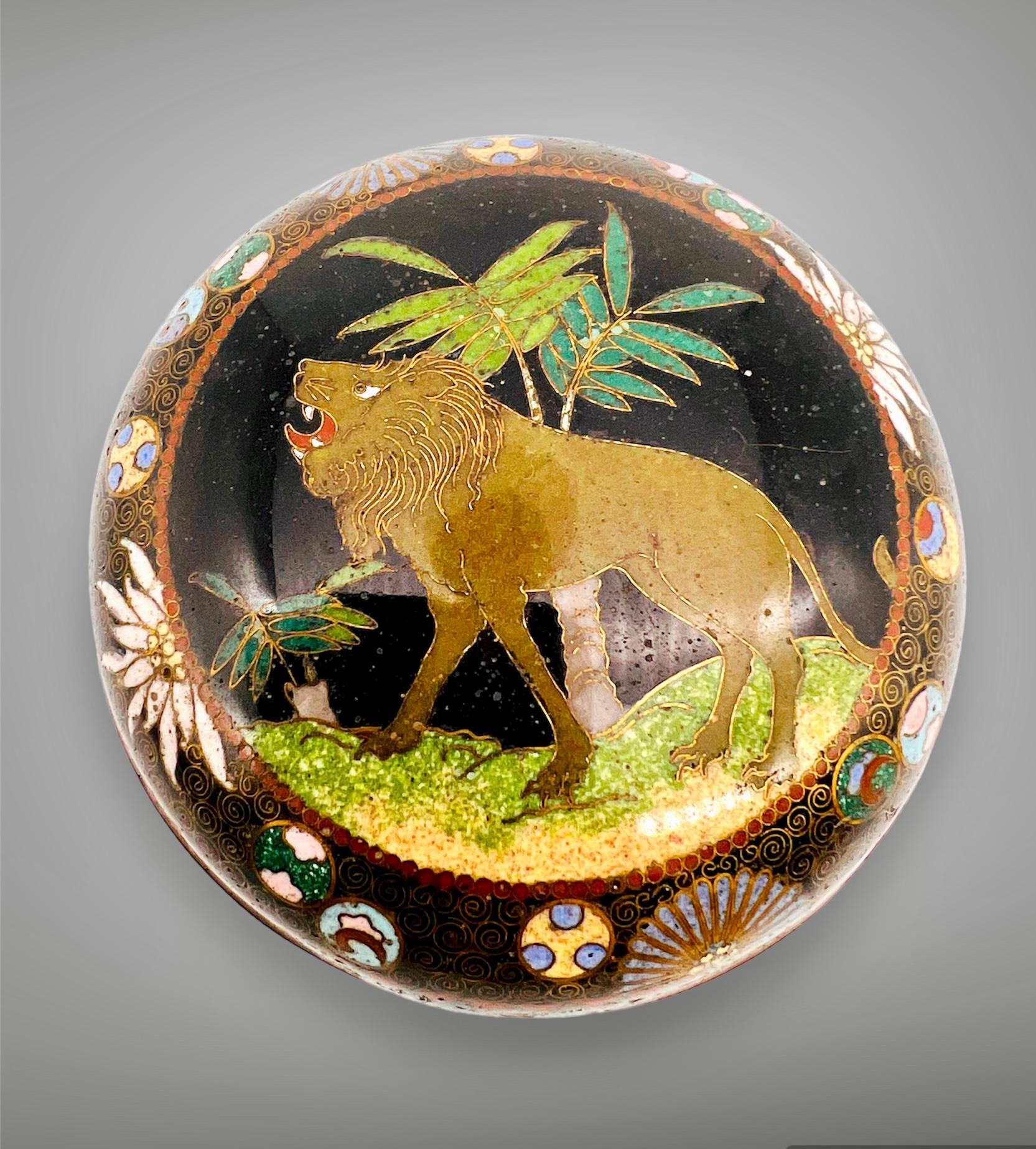 

Eine feine japanische Kobako-Dose aus Cloisonne-Emaille, verziert mit bunten Rondellen und Chrysanthemen inmitten eines spiralförmigen Drahtgrundes. Deckel mit einem Löwen und Blattwerk auf schwarzem Hintergrund. Vergoldete Drähte und