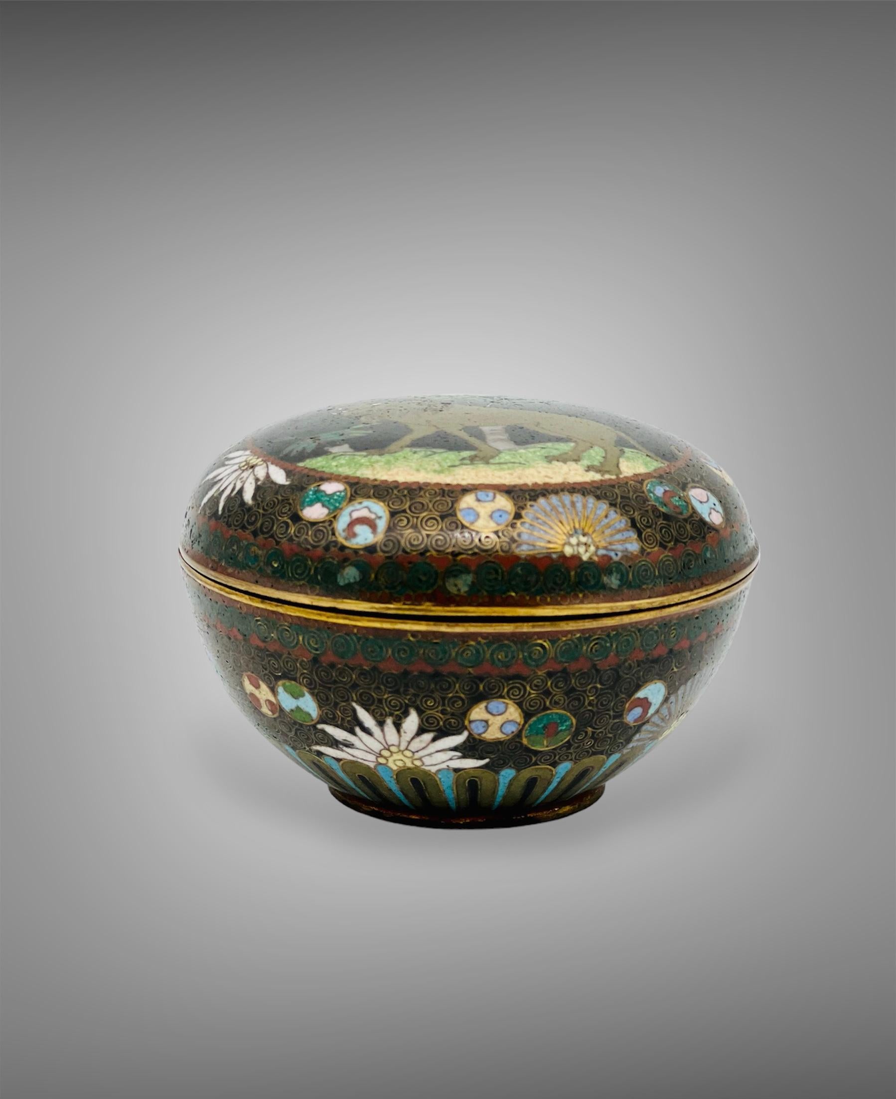 ANTIKE JAPANISCHE CLOISONNÉ-EMAILLE, RUNDE, TIEFE KOBAKO-KOGO-DOSE MIT DECKEL. 19. Jh. im Zustand „Gut“ im Angebot in London, GB