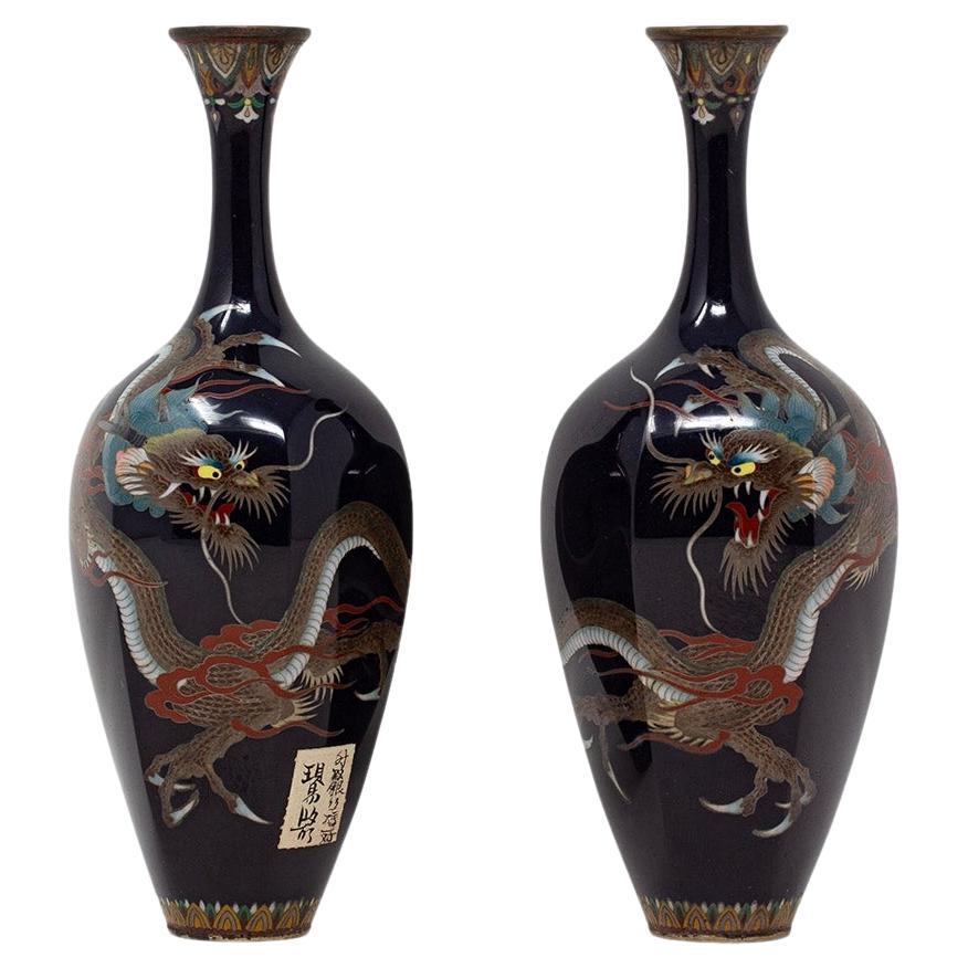 Antique Japanese Cloisonne Enamel Vase Pair Hayashi School For Sale