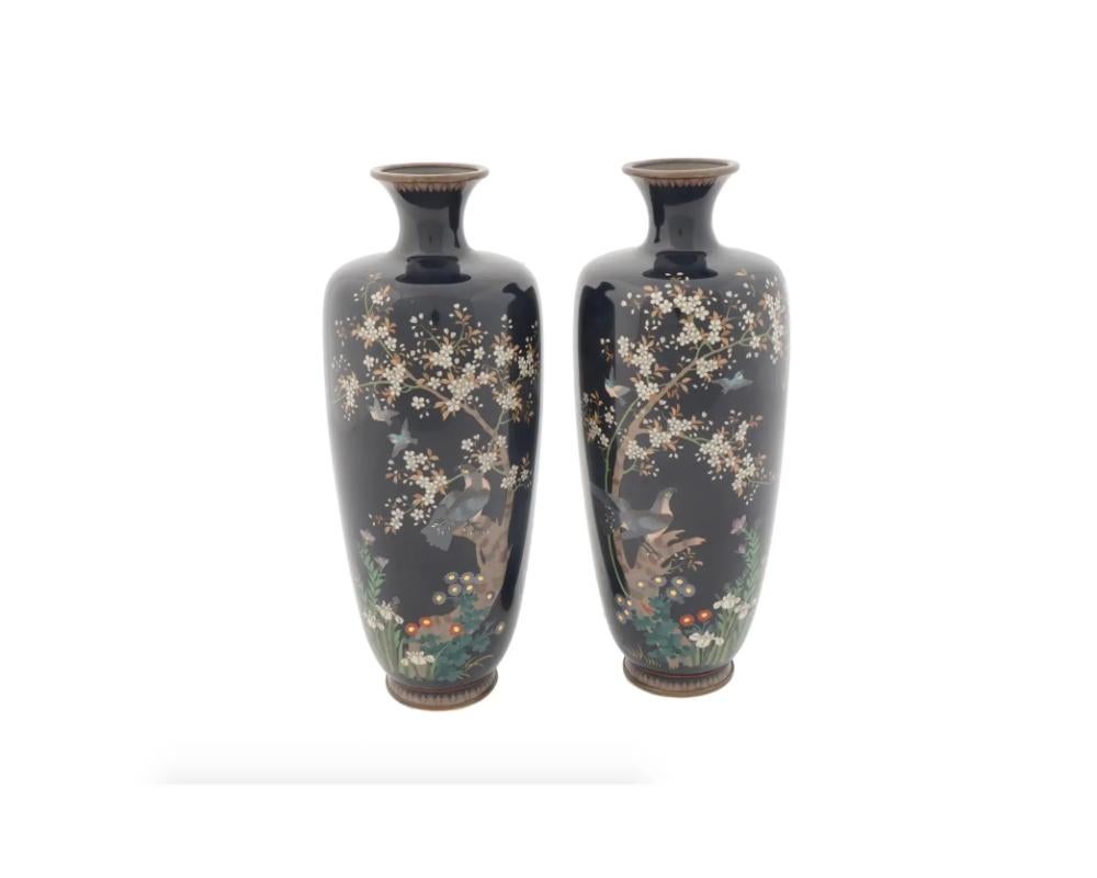 Large Pair of Antique Meiji Japanese Cloisonne Enamel Vases Hawks on Cherry Blossom Tree

Silver wire High Quality attributed to Hayashi or Ota

A pair of antique Japanese Meiji period cloisonne vases, each of a baluster shaped body rising from a