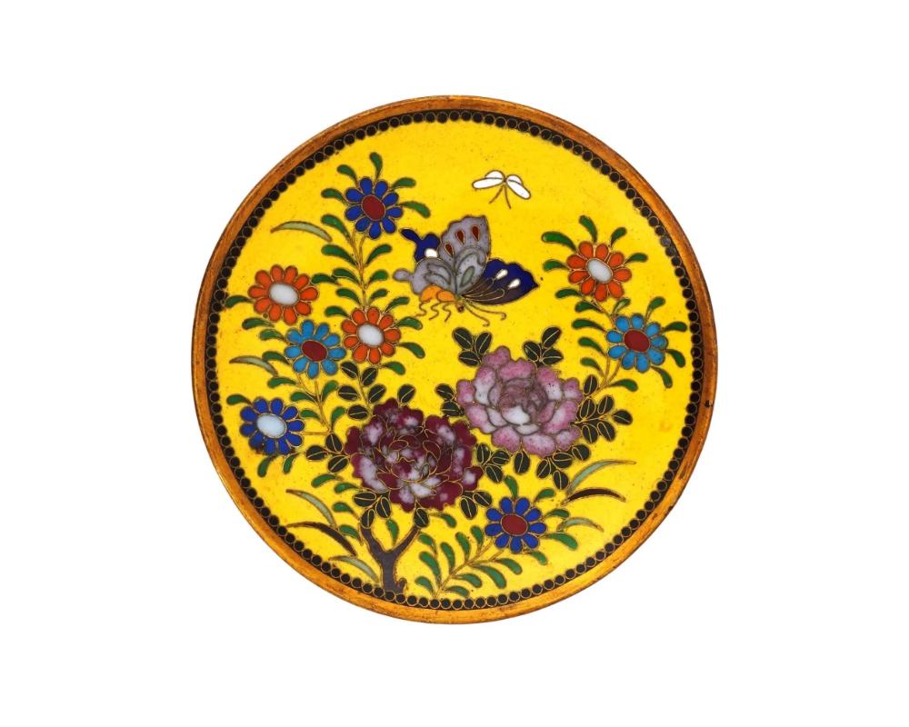 Ein antiker japanischer Emaille-Teller aus der Meiji-Ära. Der Teller ist mit einem polychromen Bild von Schmetterlingen in blühenden Blumen auf leuchtend gelbem Grund in Cloisonne-Technik verziert. Die Bordüre zeigt ein geometrisches Motiv in der