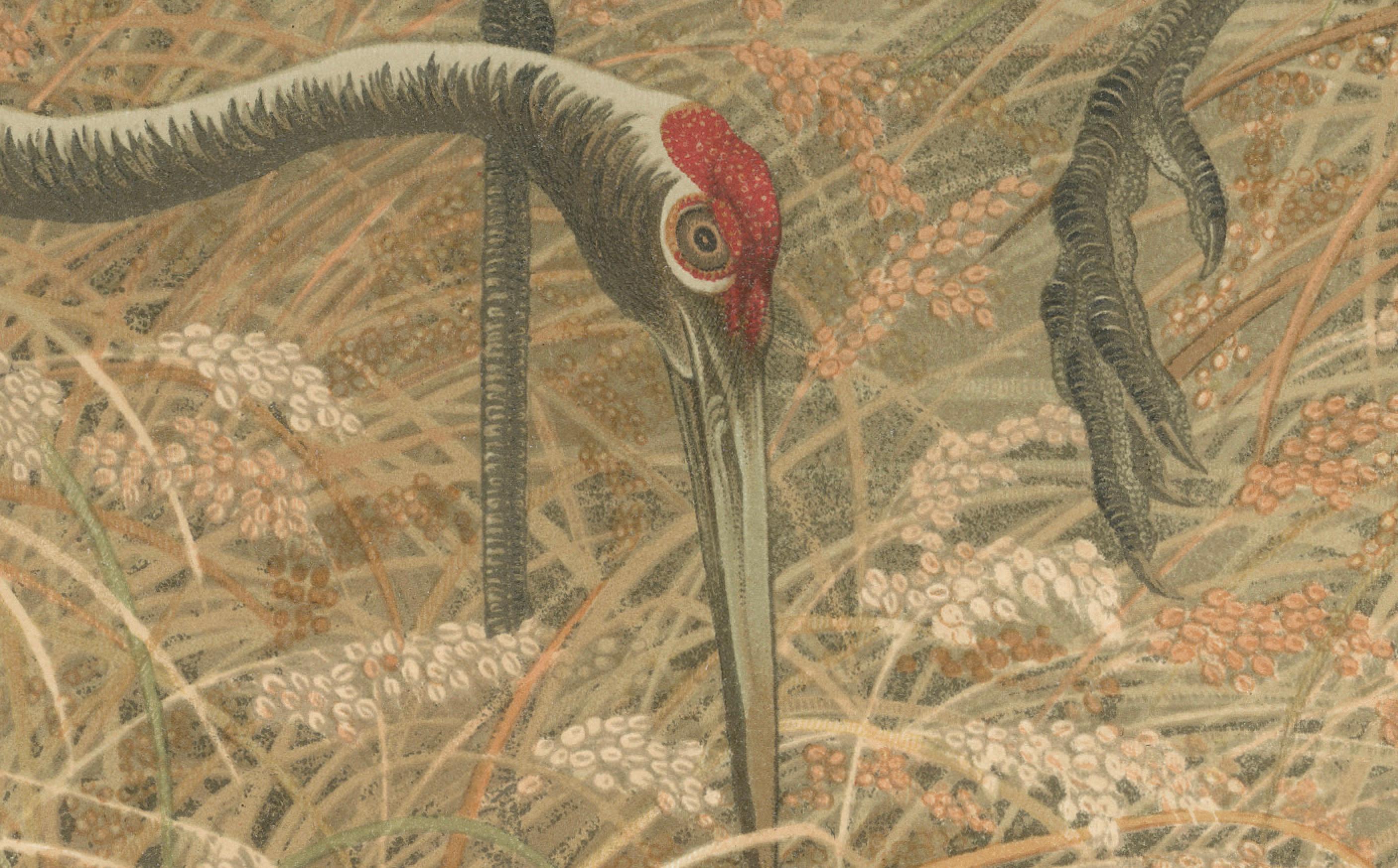Antique Japanese Crane Print: Serene Scene in Grassy Marsh, 19th Century

Description:
This exceptional 19th-century Japanese print features a solitary crane foraging in a marshy field of reeds, a masterful depiction of the quiet grace of the