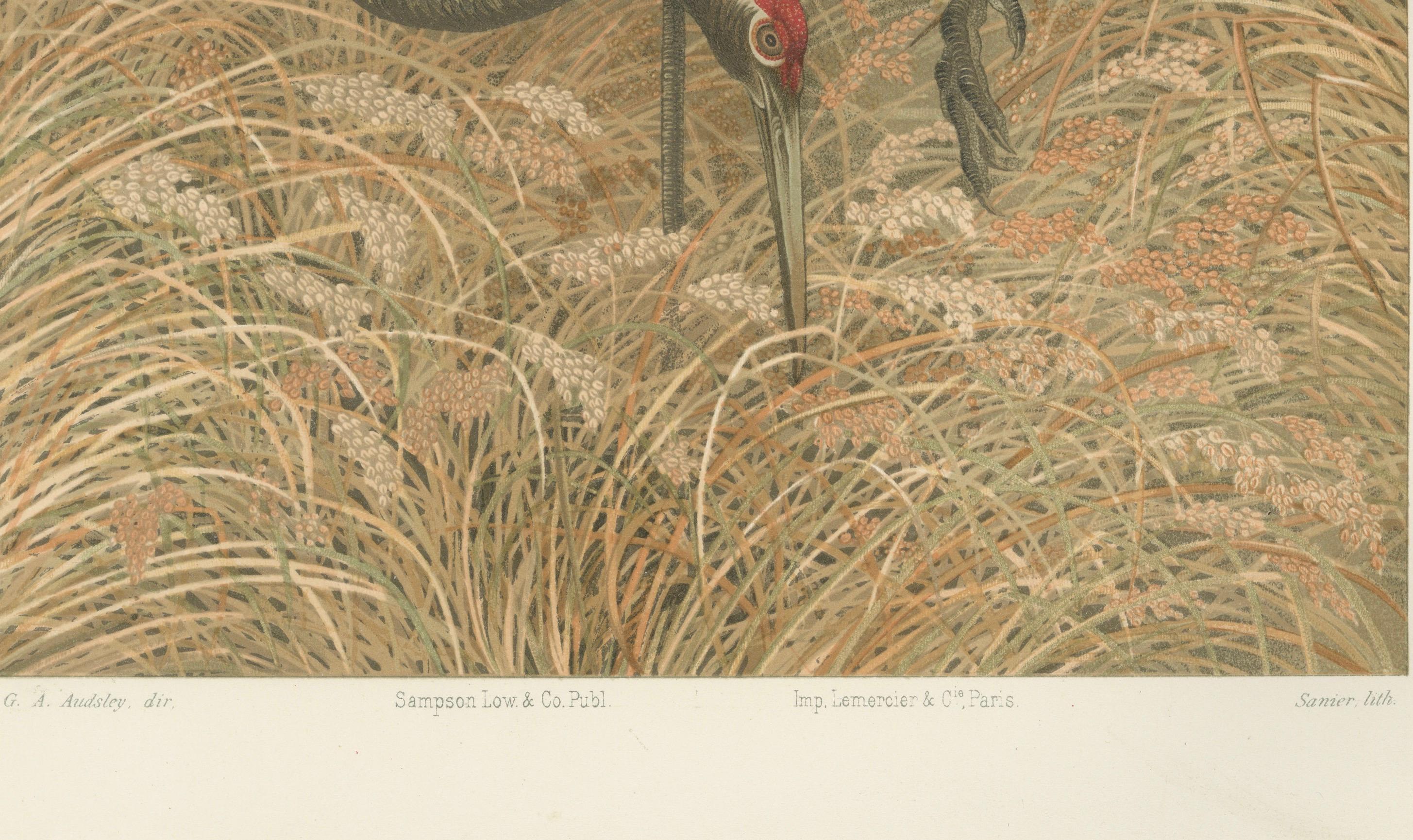 Antique Japanese Crane Print: Serene Scene in Grassy Marsh, 19th Century In Good Condition For Sale In Langweer, NL