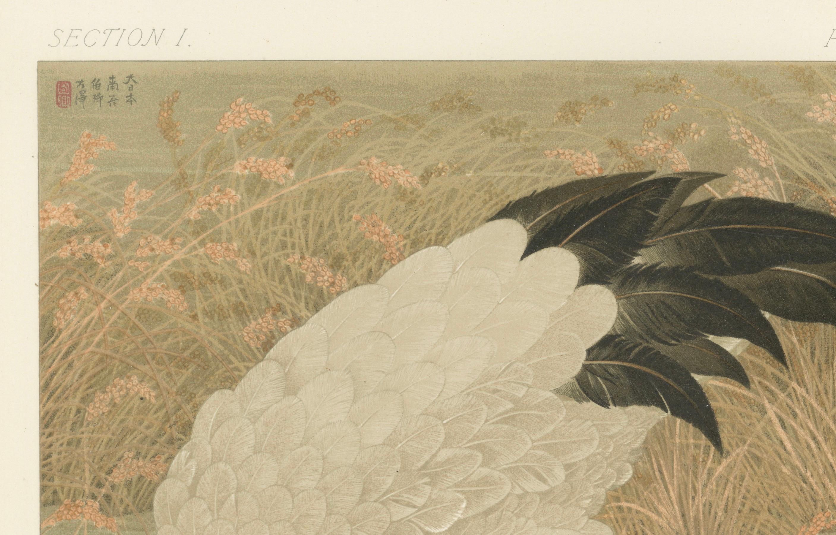 Late 19th Century Antique Japanese Crane Print: Serene Scene in Grassy Marsh, 19th Century For Sale