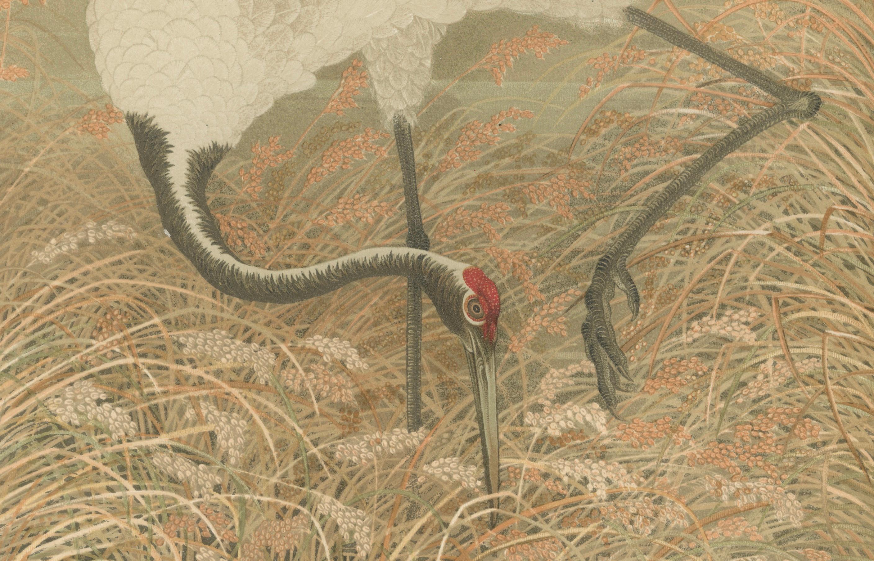 Paper Antique Japanese Crane Print: Serene Scene in Grassy Marsh, 19th Century For Sale