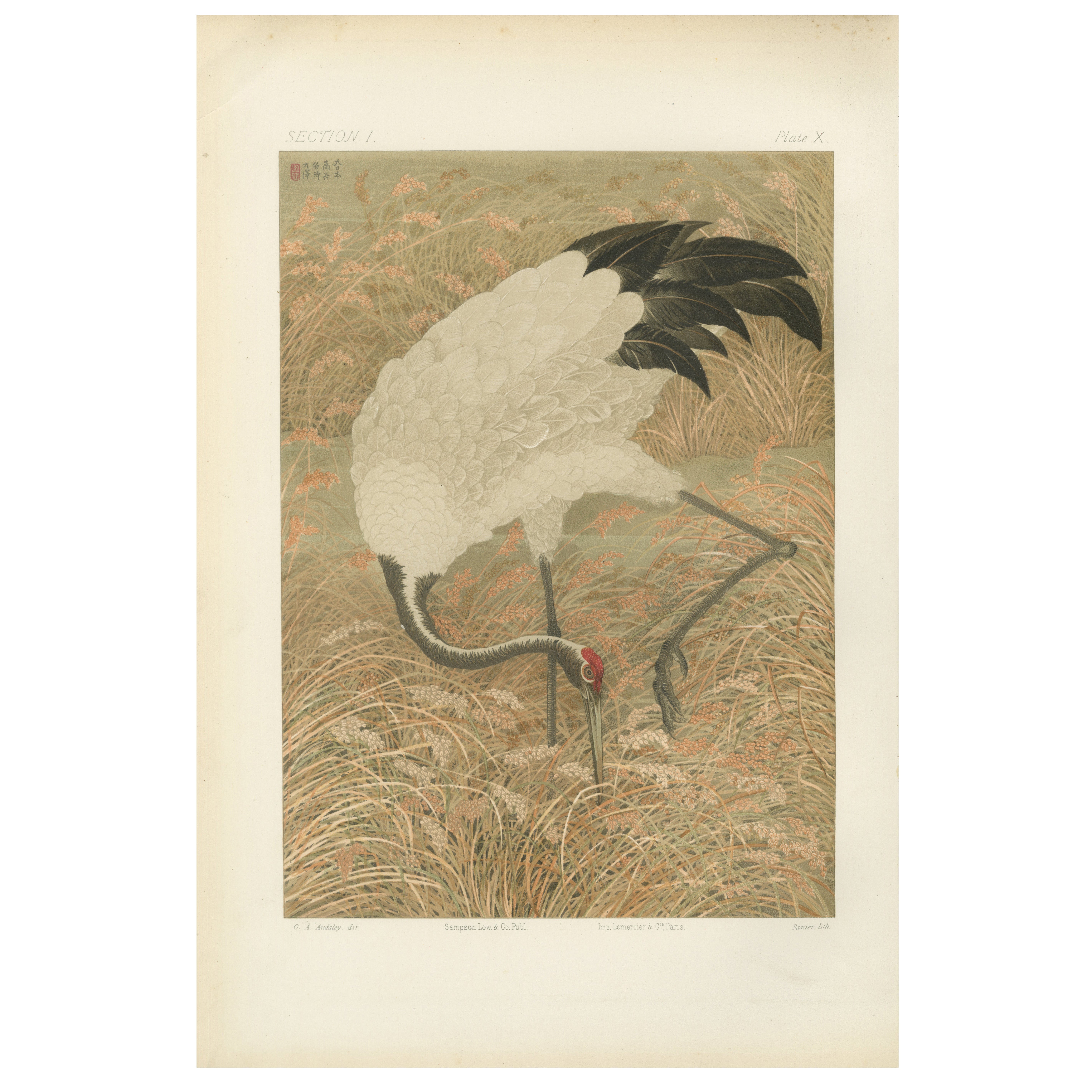 Antique Japanese Crane Print: Serene Scene in Grassy Marsh, 19th Century