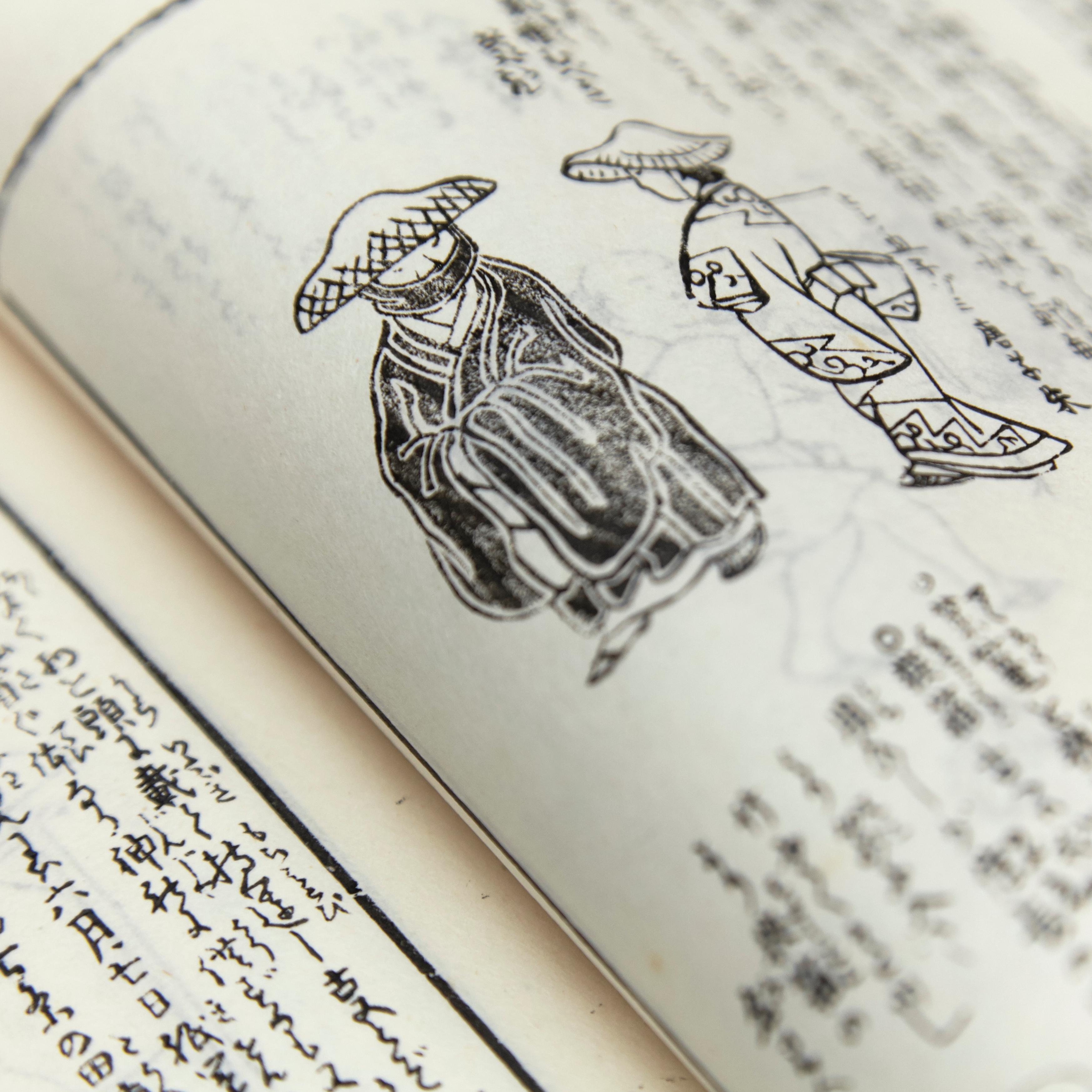Livre japonais ancien de l'ère Meiji Ehon 1