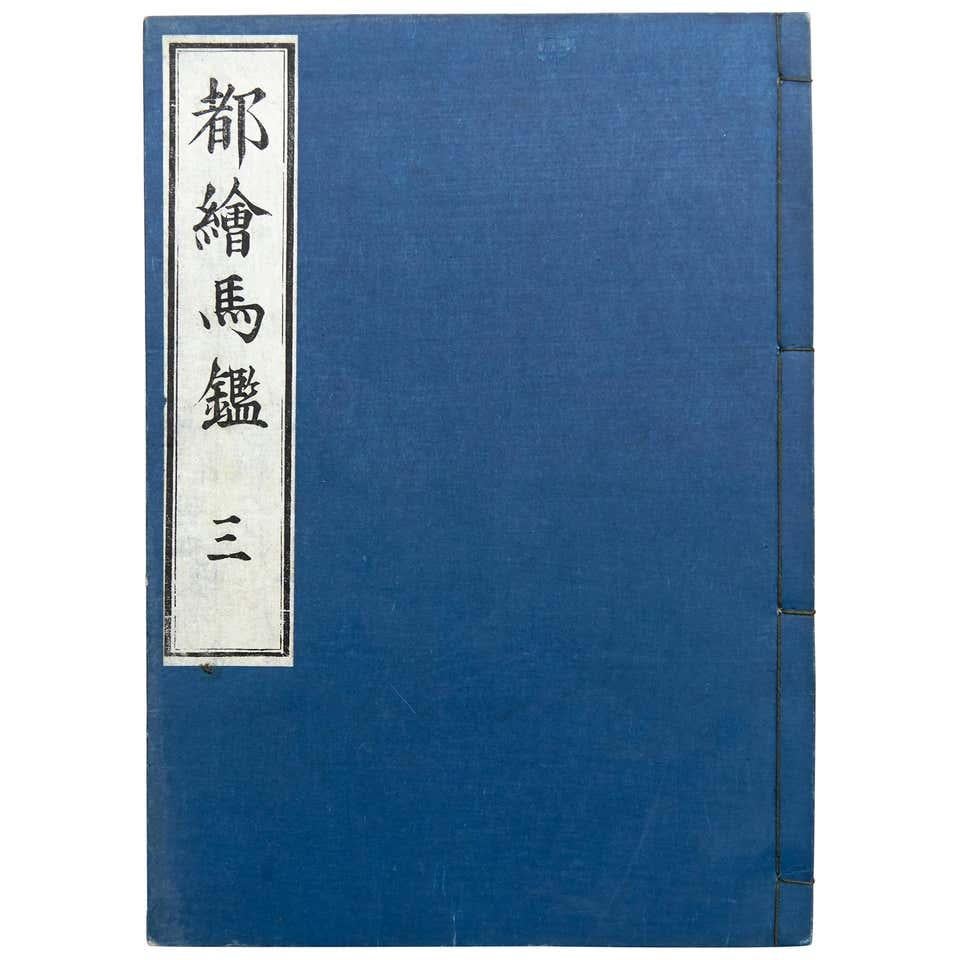 Antique Japanese Ehon Book Meiji Era For Sale 5
