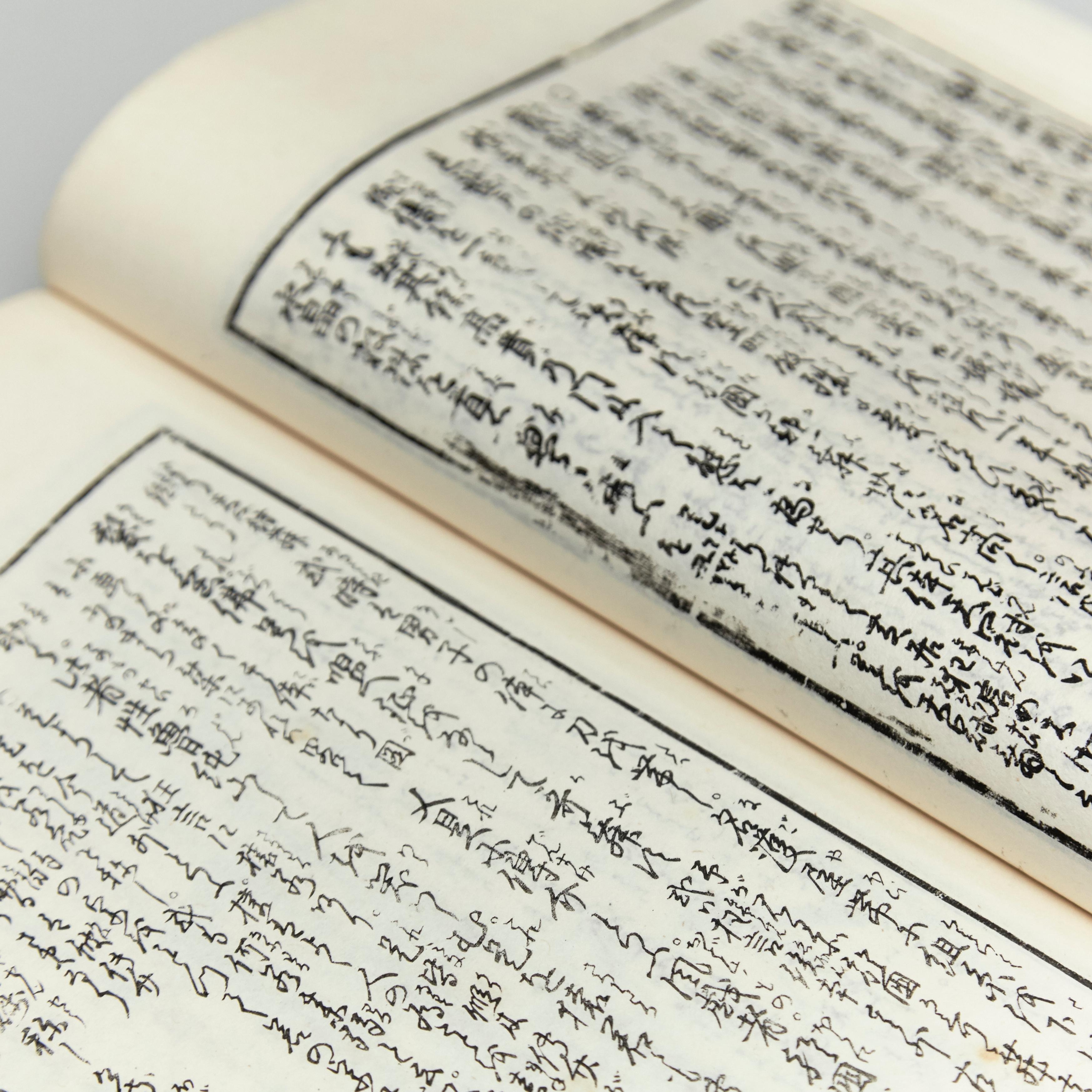 Livre japonais ancien de l'ère Meiji Ehon 3