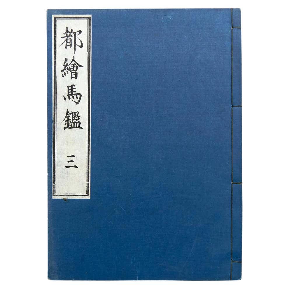 Antique Japanese Ehon Book Meiji Era, but details are unknown Woodblack print book  Book dimensions 266 mm x 190 mm  There are damages because it is antique item as we show on the photos.  