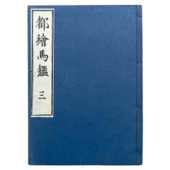 Antique Japanese Ehon Book Meiji Era