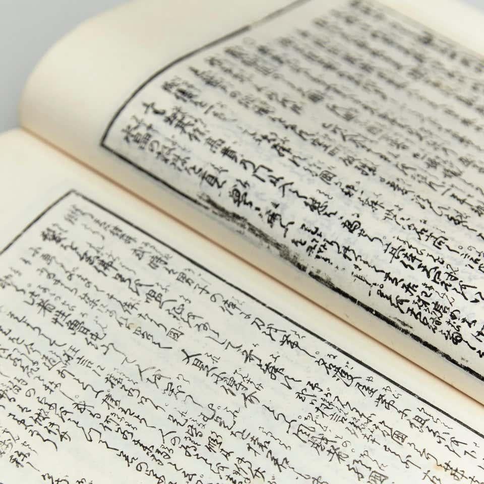Antikes japanisches Ehon-Bücherbuch aus der Meiji-Ära (Papier) im Angebot