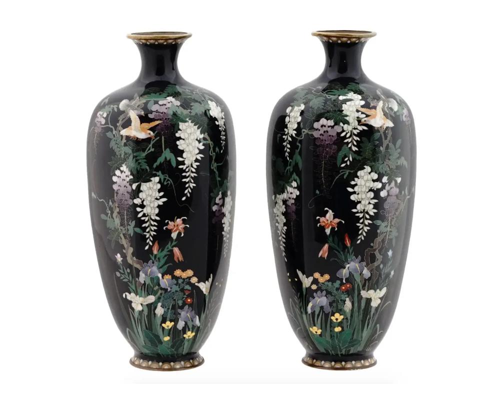 A pair of antique Japanese Meiji period vases, each features a midnight blue ground and is decorated with silver wire and colored enamels to depict a tranquil scene of two sparrows perched on a branch beneath hanging wisteria and above a dense