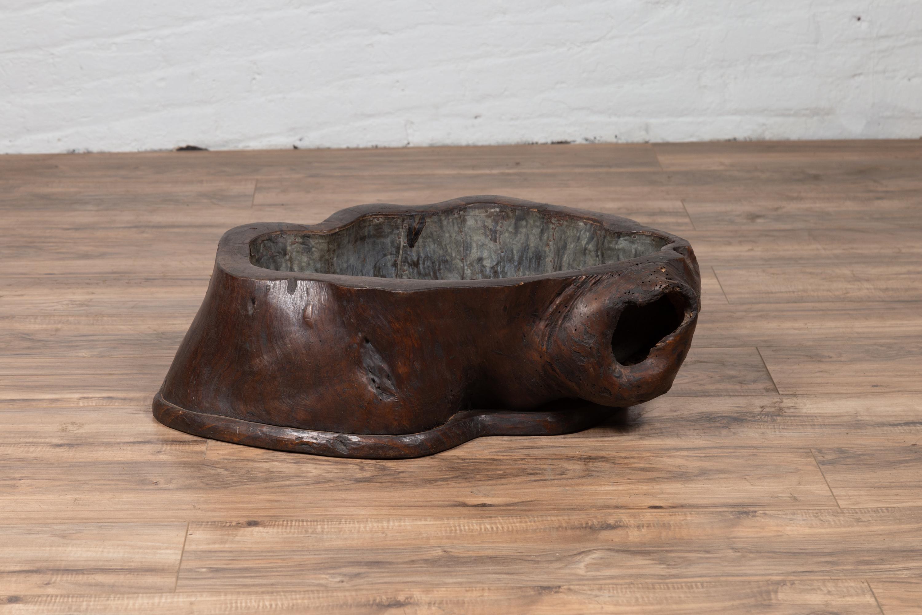 Rustic Antique Japanese Hibachi circa 1900 Made from a Tree Root with Brown Patina