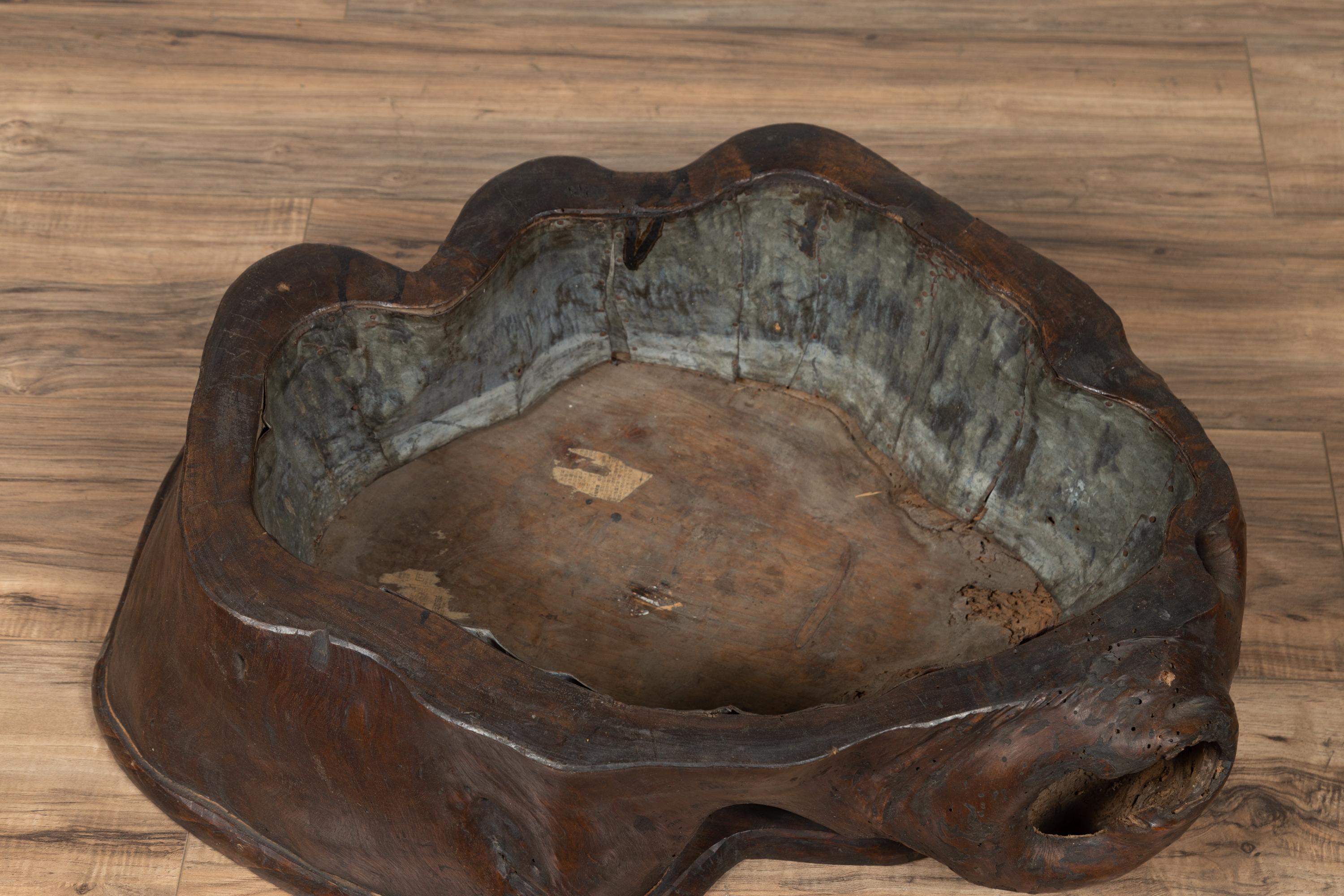 20th Century Antique Japanese Hibachi circa 1900 Made from a Tree Root with Brown Patina