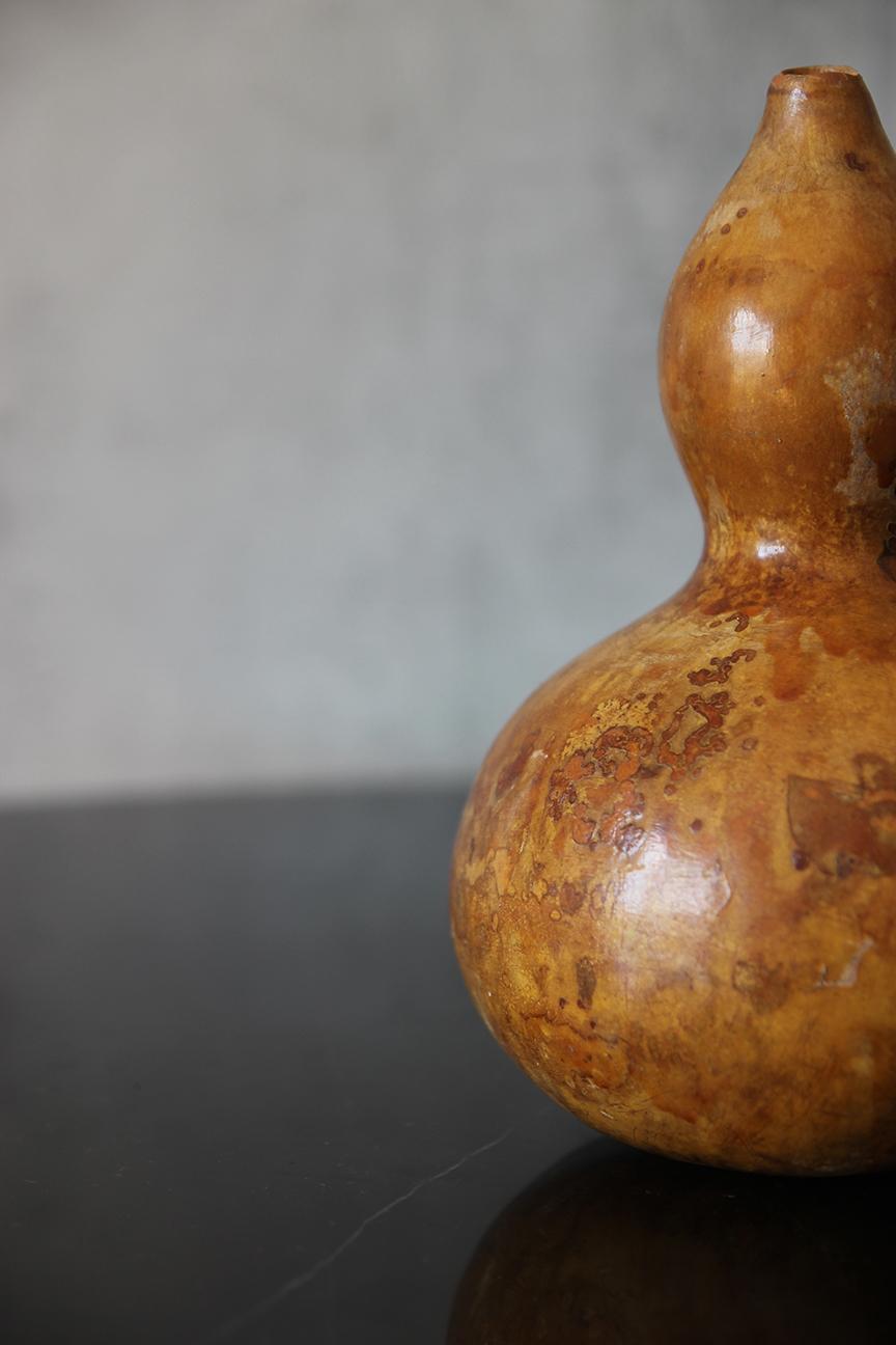Organico moderno Antico seme giapponese Hyotan GOURD. in vendita
