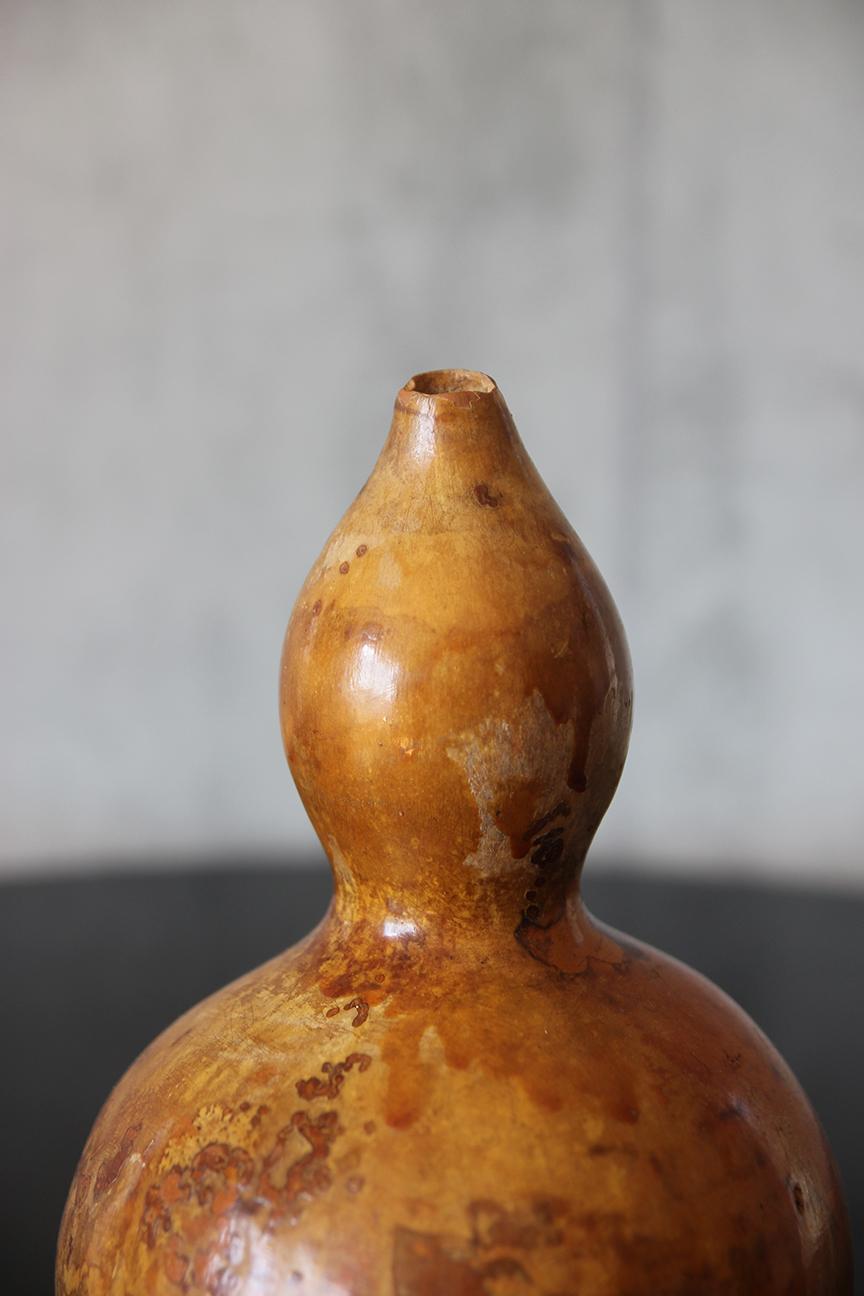 Giapponese Antico seme giapponese Hyotan GOURD. in vendita