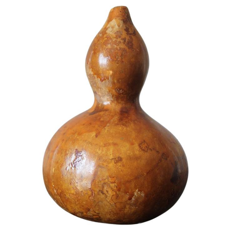 Antico seme giapponese Hyotan GOURD.