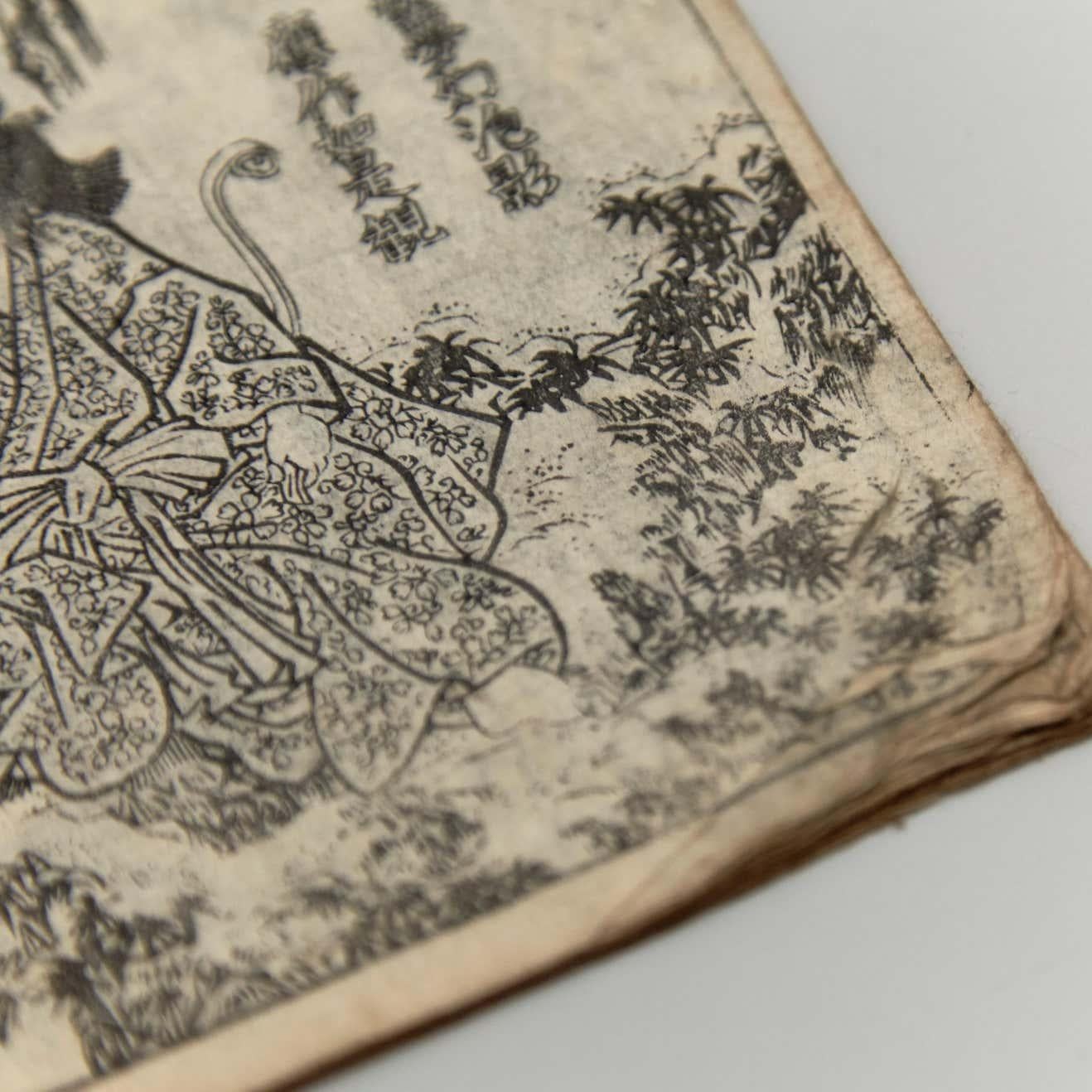 Antikes japanisches Kusazoshi-Buch Edo-Zeit, um 1860 im Angebot 3