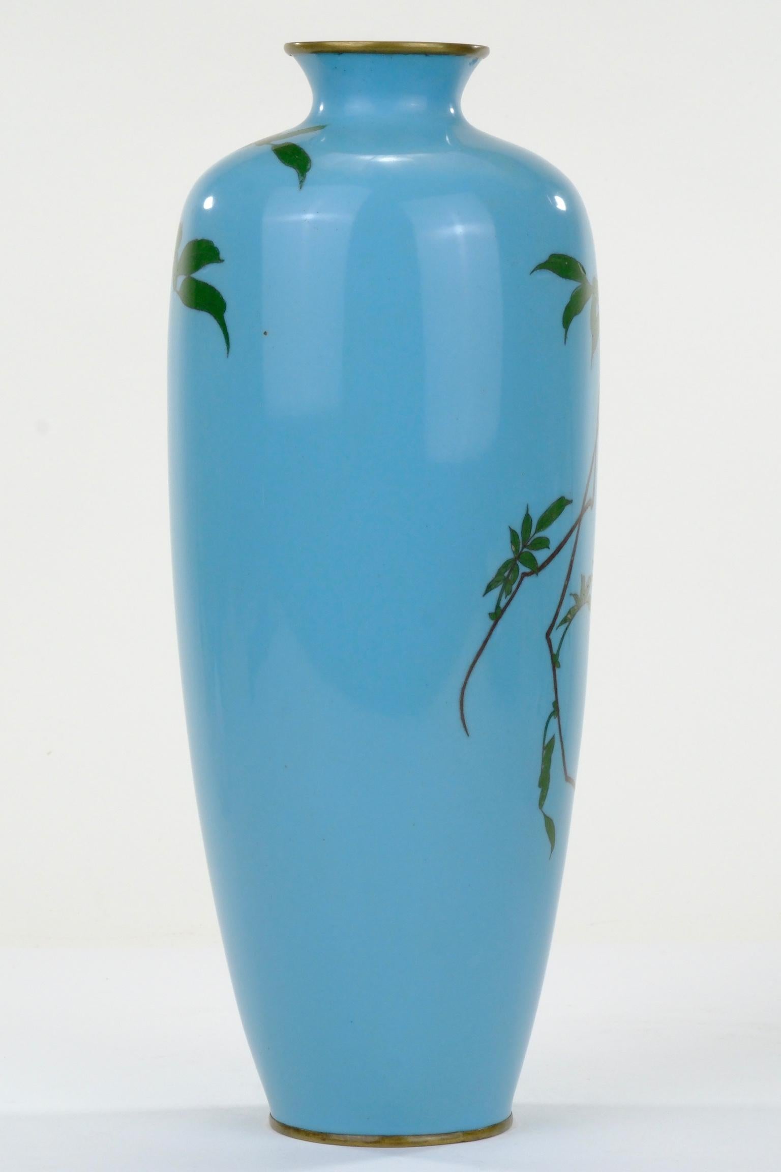 Giapponese Antico vaso giapponese Meiji (c1880) Cloisonné Wisteria & Bluebird Turchese 12