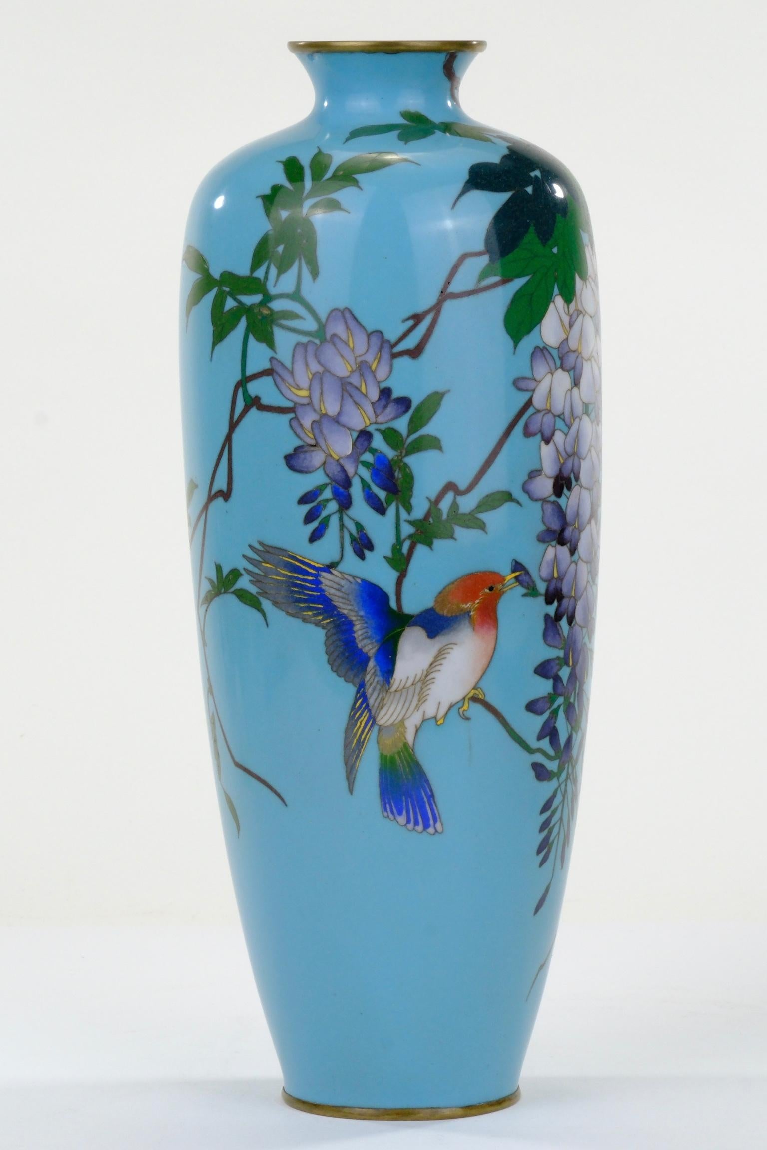 Antico vaso giapponese Meiji (c1880) Cloisonné Wisteria & Bluebird Turchese 12