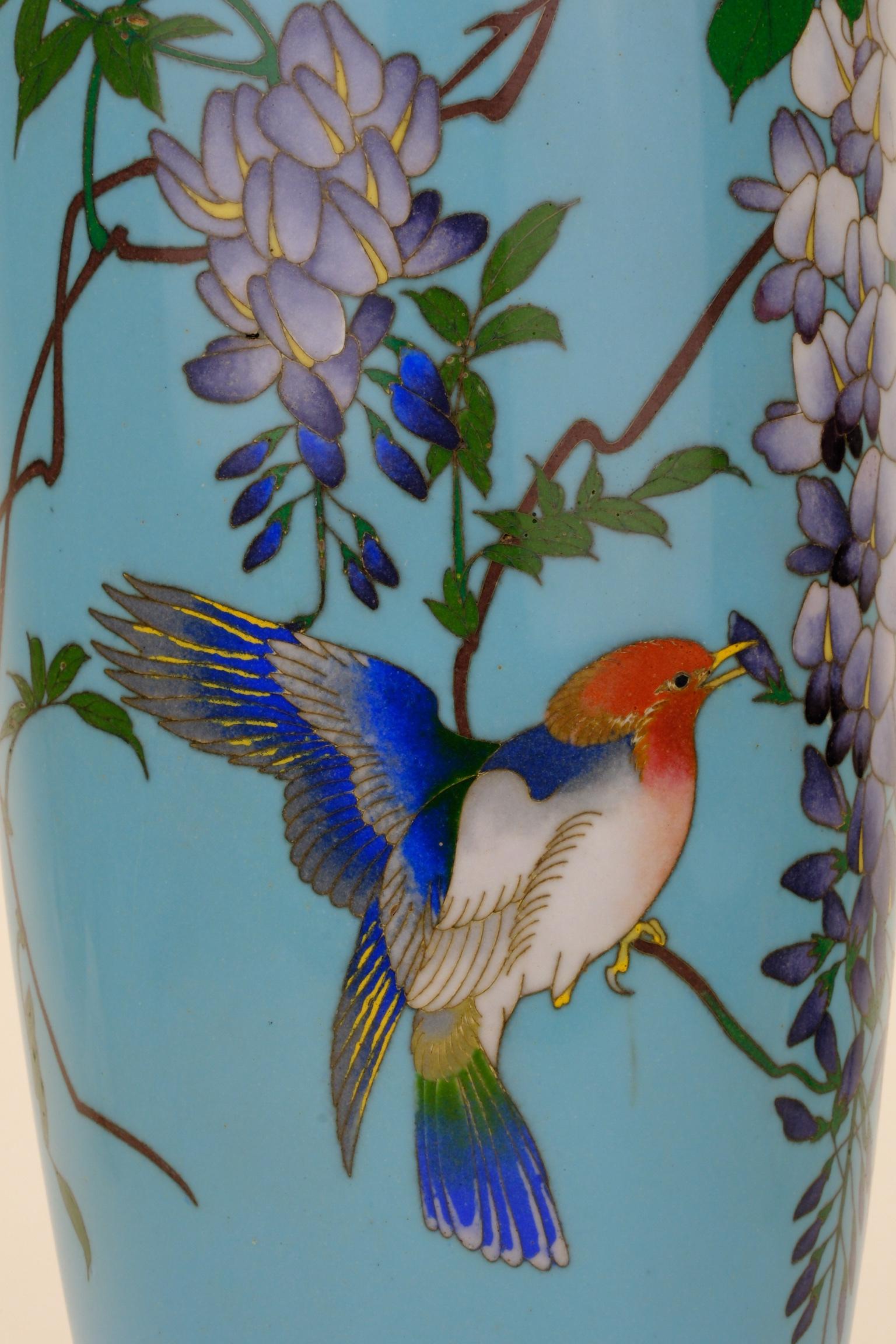 XIX secolo Antico vaso giapponese Meiji (c1880) Cloisonné Wisteria & Bluebird Turchese 12