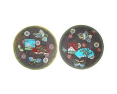 Coppia di piatti antichi in smalto cloisonne giapponese Meiji