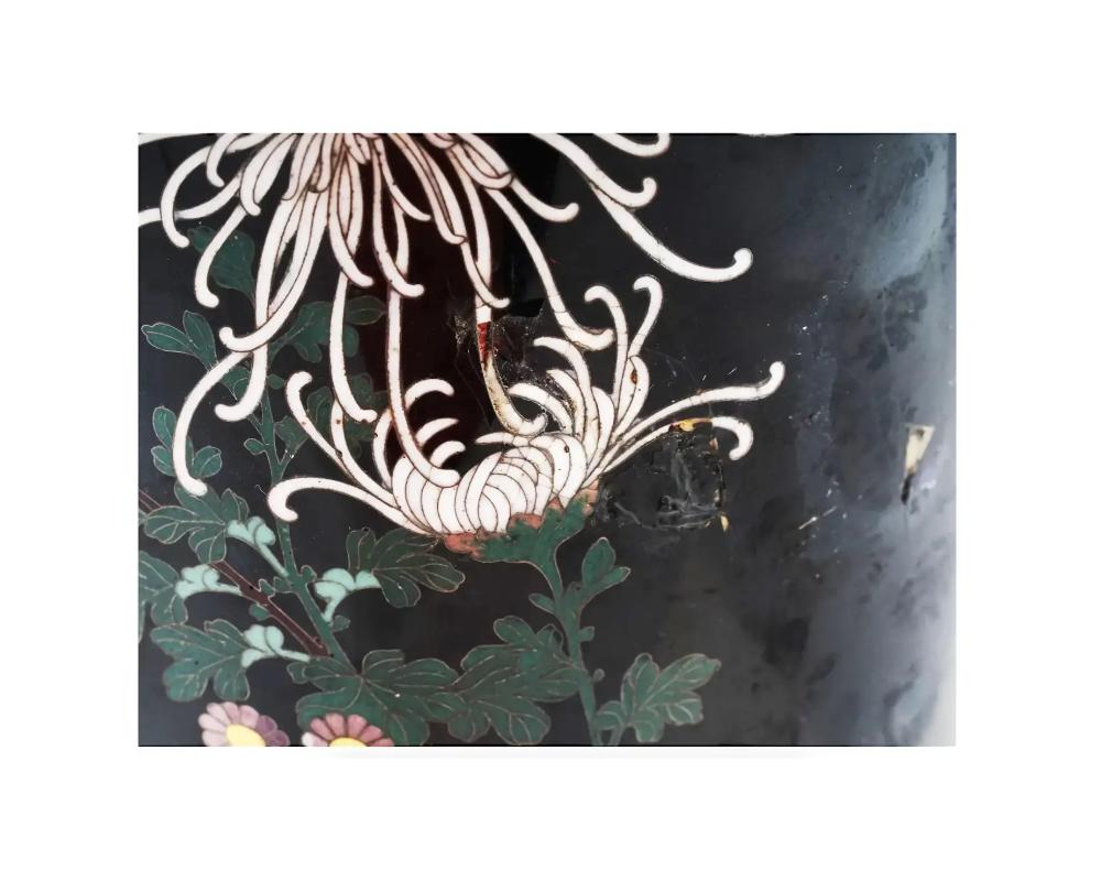 Large Antique Meiji Japanese Cloisonne Enamel Vase Blossoming Chrysanthemums Sig For Sale 6