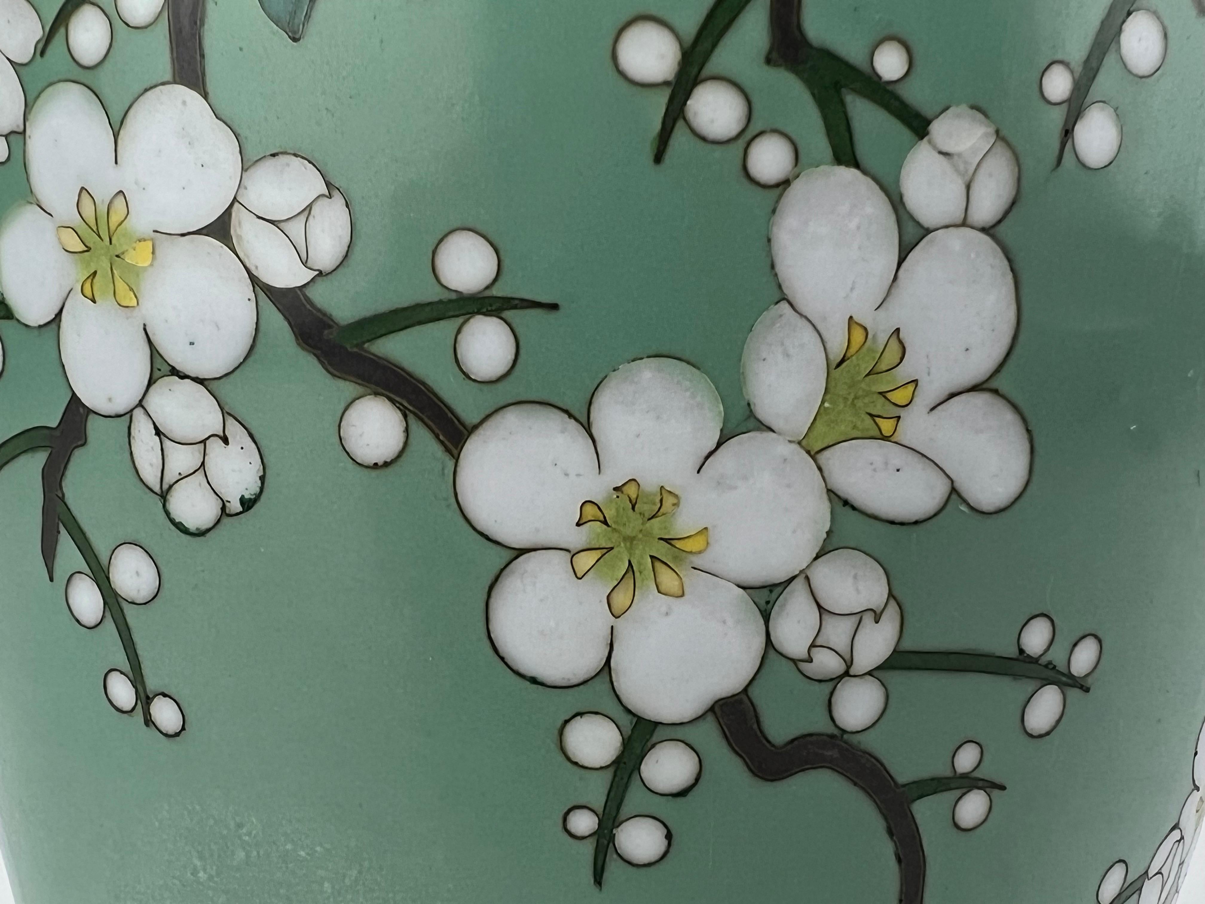 Antique Japanese Meiji Era (late 1800's) Cloisonné Vase Teal w/ Plum Blossoms 7” For Sale 5