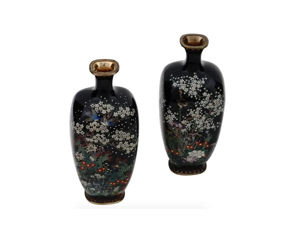 Ein Paar antiker japanischer Silberdraht-Emaille-Vasen aus der späten Meiji-Periode.
Jede Vase hat einen amphorenförmigen Körper und einen geriffelten Hals. Die Waren sind mit einem polychromen Bild eines Vogelpaares in Sakura-Bäumen und blühenden