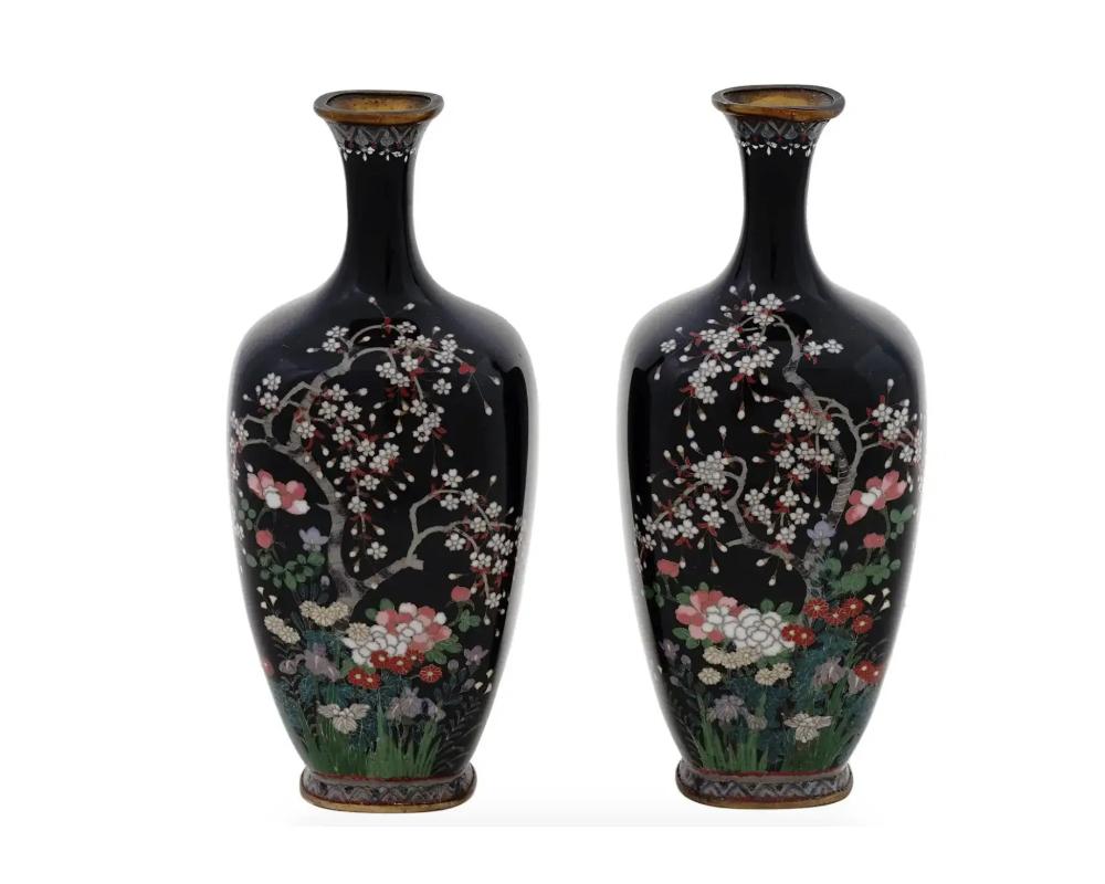 A pair of antique Japanese, late Meiji period, silver wire enamel vases. Each vase has an amphora shaped body and a fluted neck. The wares are enameled with a polychrome image of a pair of birds in sakura trees and blossoming flowers on the black