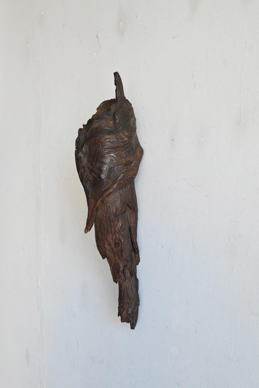 Antique Japanese natural wood vase/Early 20th century/Wall-hanging vase/ 12