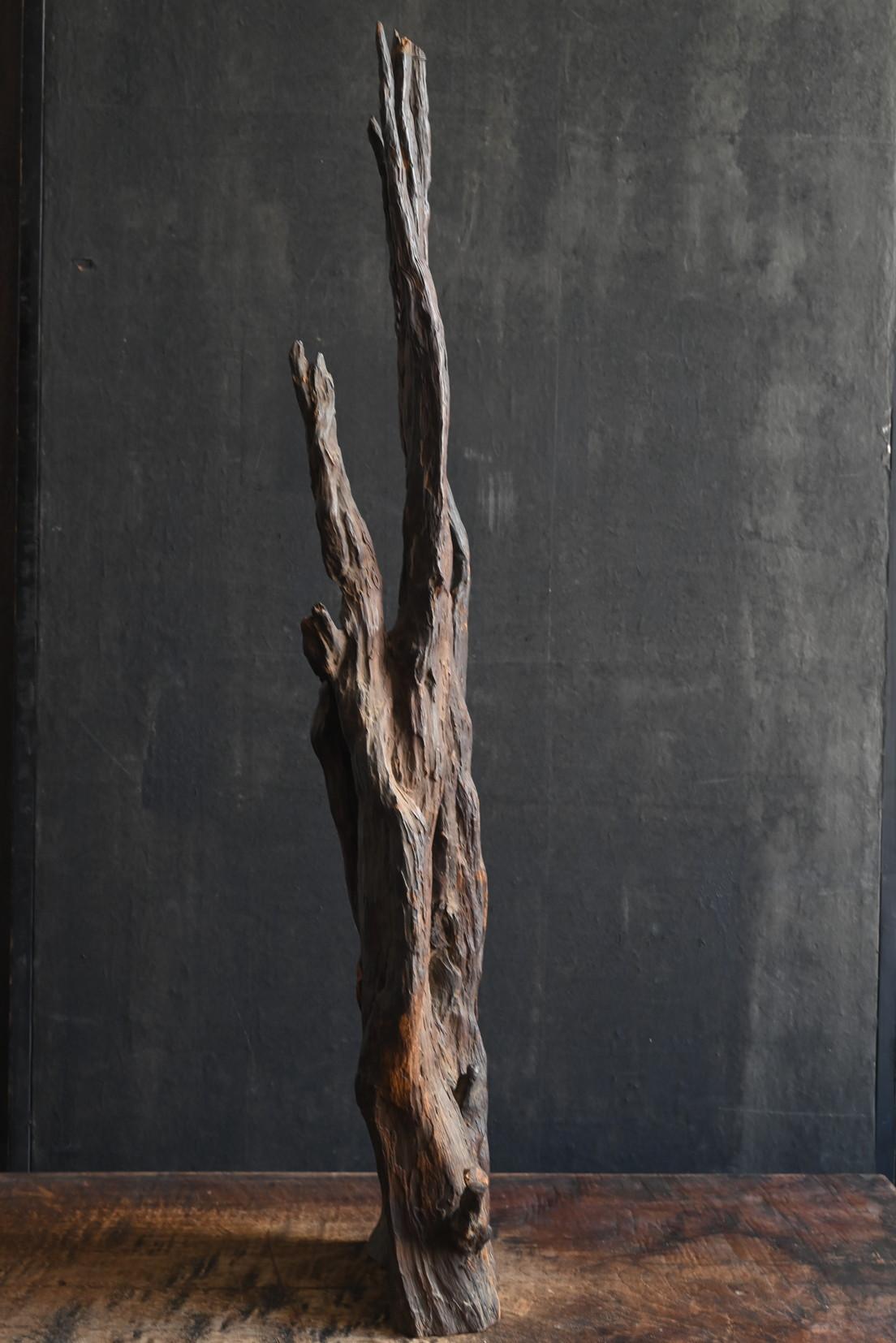 Antico oggetto giapponese a forma di radice d'albero / 1868-1920 / ornamento Wabi-sabi in vendita 2