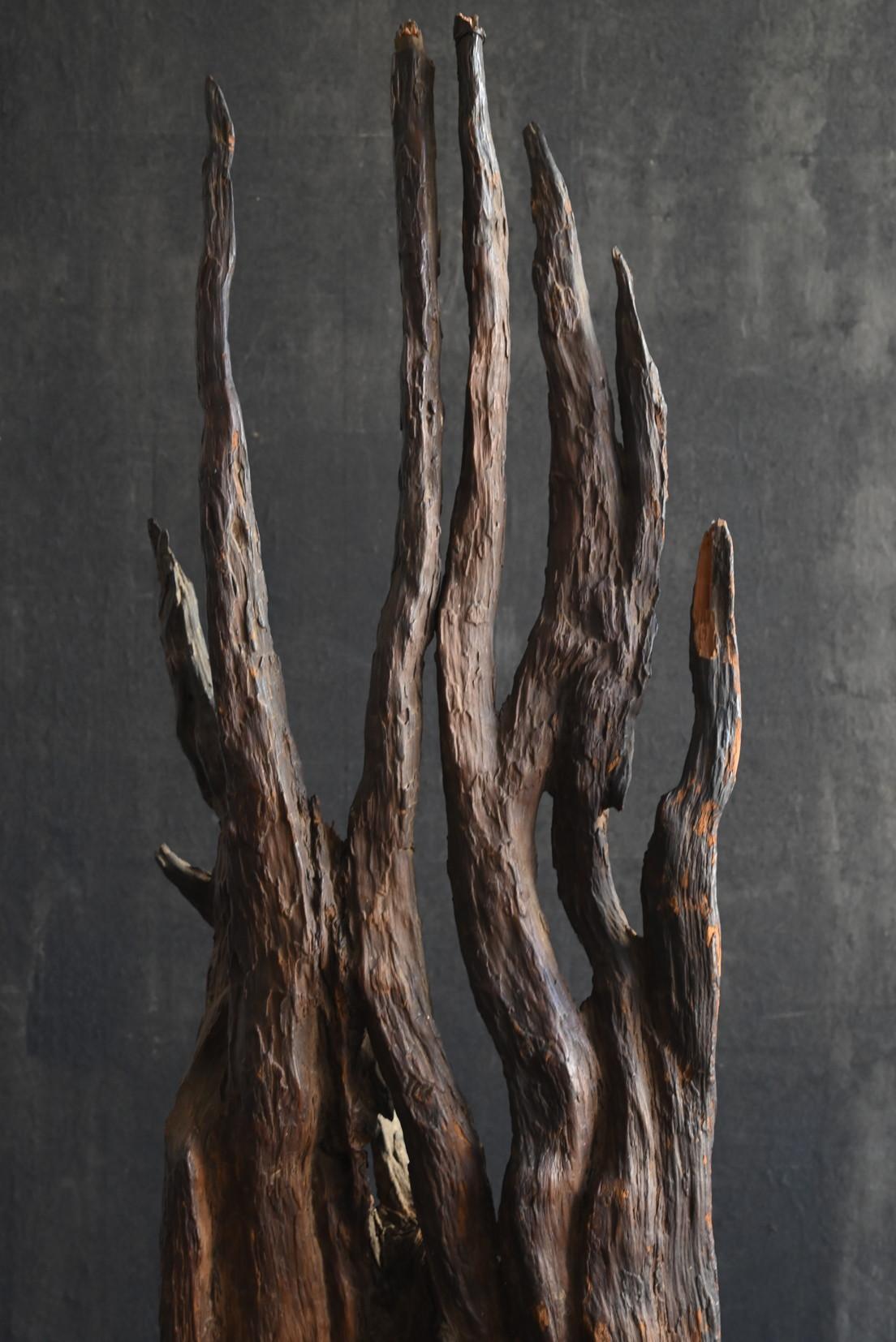 Giapponese Antico oggetto giapponese a forma di radice d'albero / 1868-1920 / ornamento Wabi-sabi in vendita