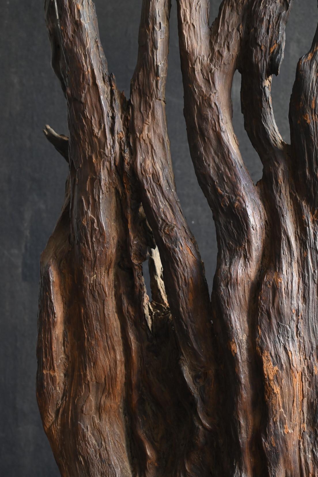 XIX secolo Antico oggetto giapponese a forma di radice d'albero / 1868-1920 / ornamento Wabi-sabi in vendita