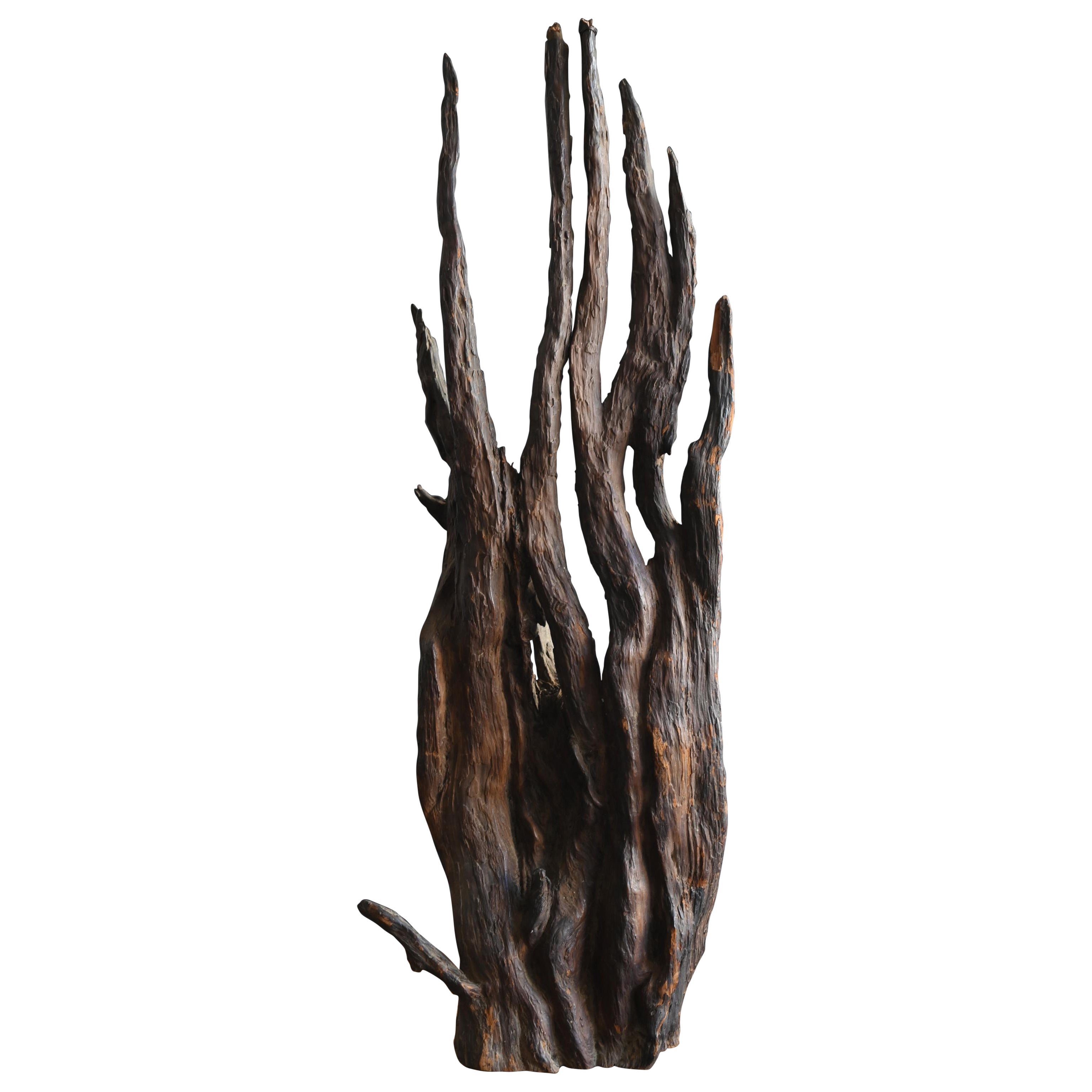 Antique Japanese tree root object / 1868-1920 / Wabi-sabi ornament