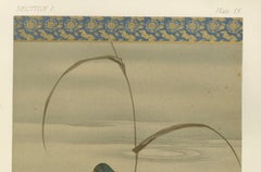 Antique Japanese Waterfowl Print: Tranquil Duck in Reeds, 19th Century